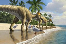 فسیل‌های کشف‌شده در آمریکای جنوبی می‌تواند تاریخ دایناسورهای اردک‌منقار را بازنویسی کند