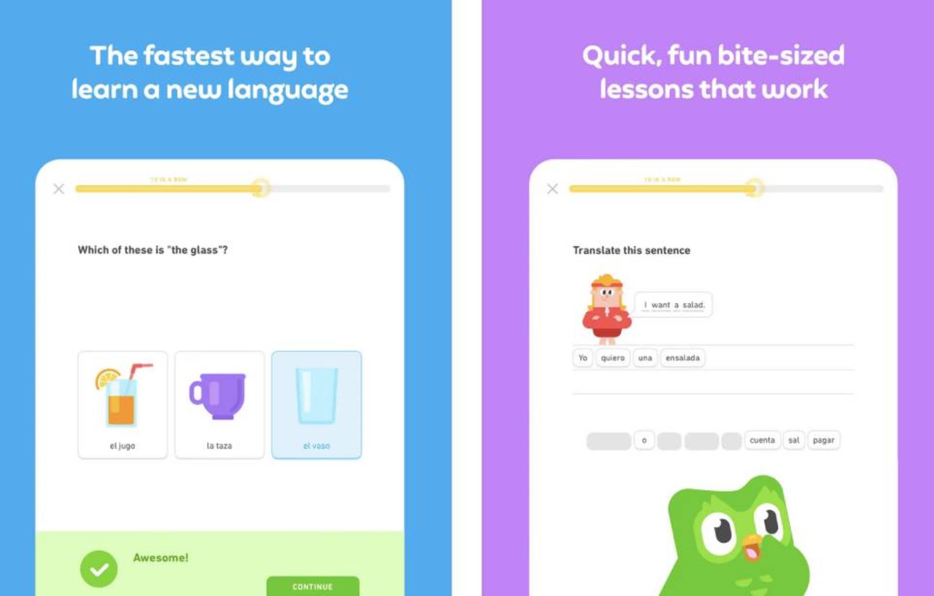 فضای برنامه‌ی Duolingo