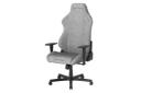 صندلی گیمینگ دی ایکس ریسر DRIFTING Series L 2025 Fabric