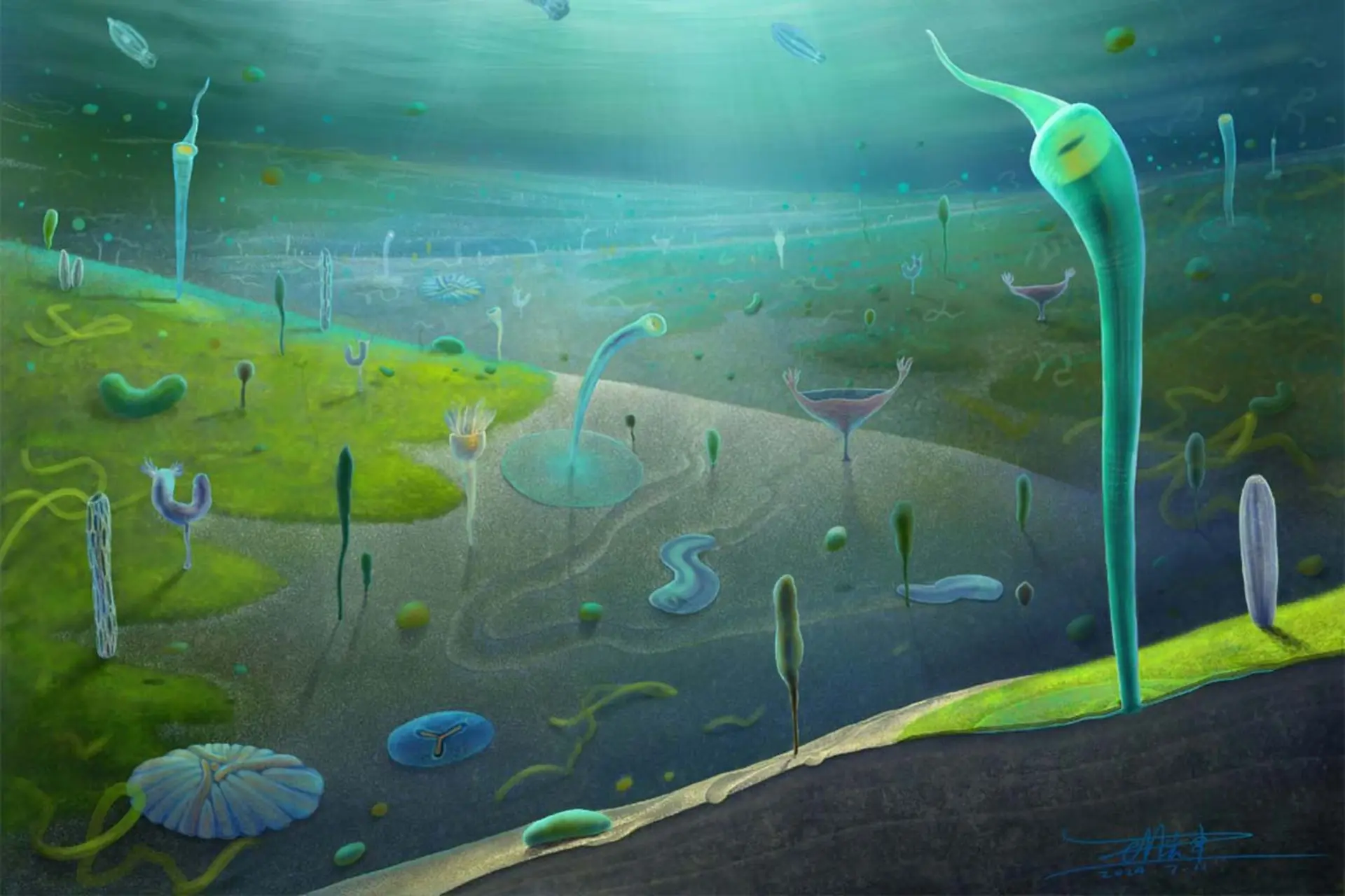 تصویرسازی از موجودات پیچیده ابتدایی