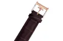 بند و قفل ساعت مچی مردانه ارنشا Grand Calendar ES-8043-04