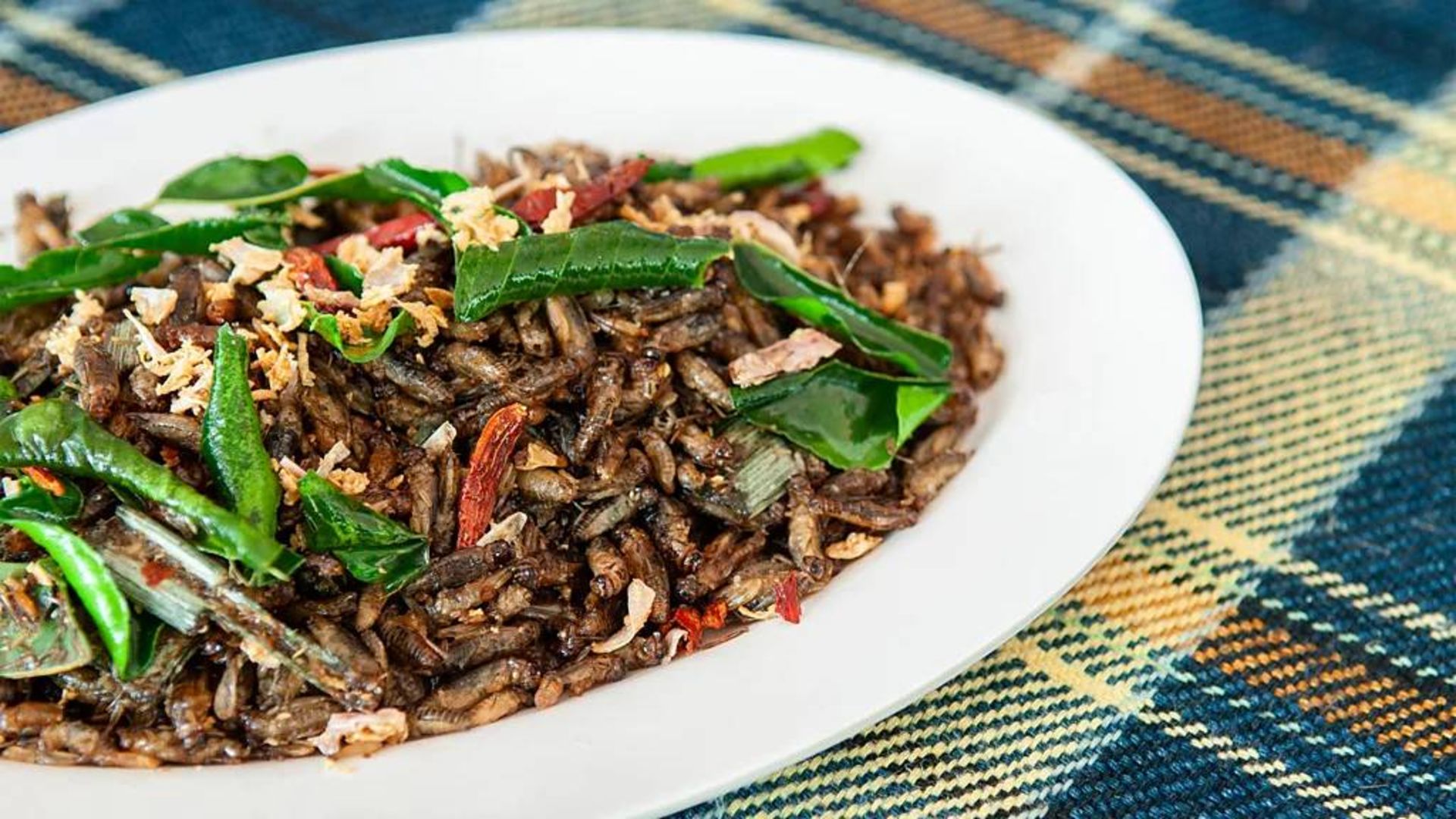 حشرات به عنوان غذای انسان