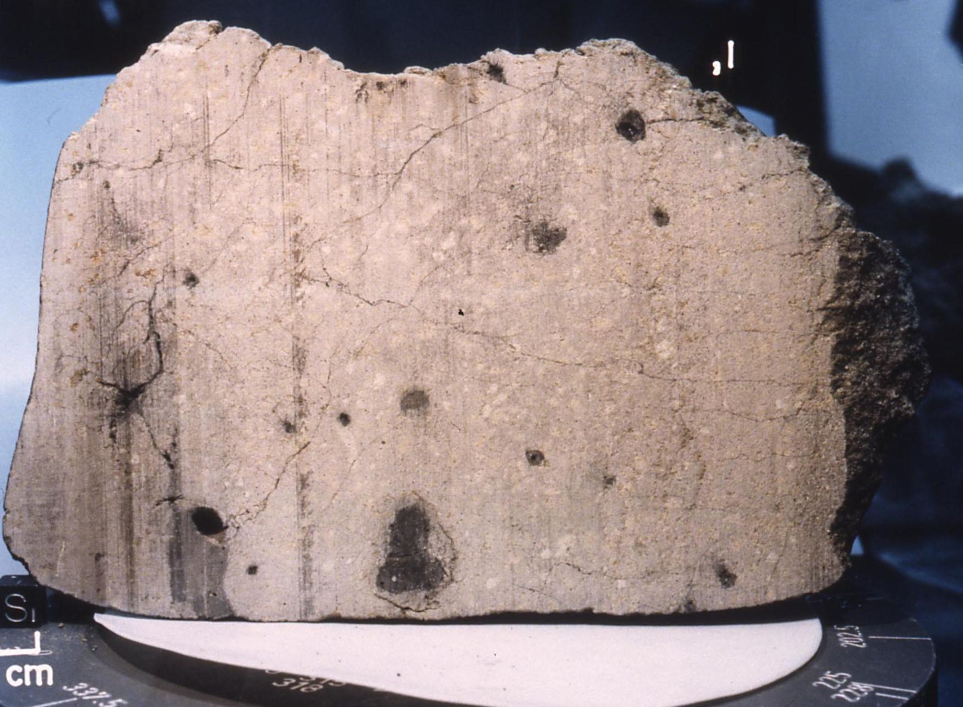 شهاب سنگ Elephant Moraine 79001 که به گزارش ناسا در آنتارکتیکا کشف شده است.