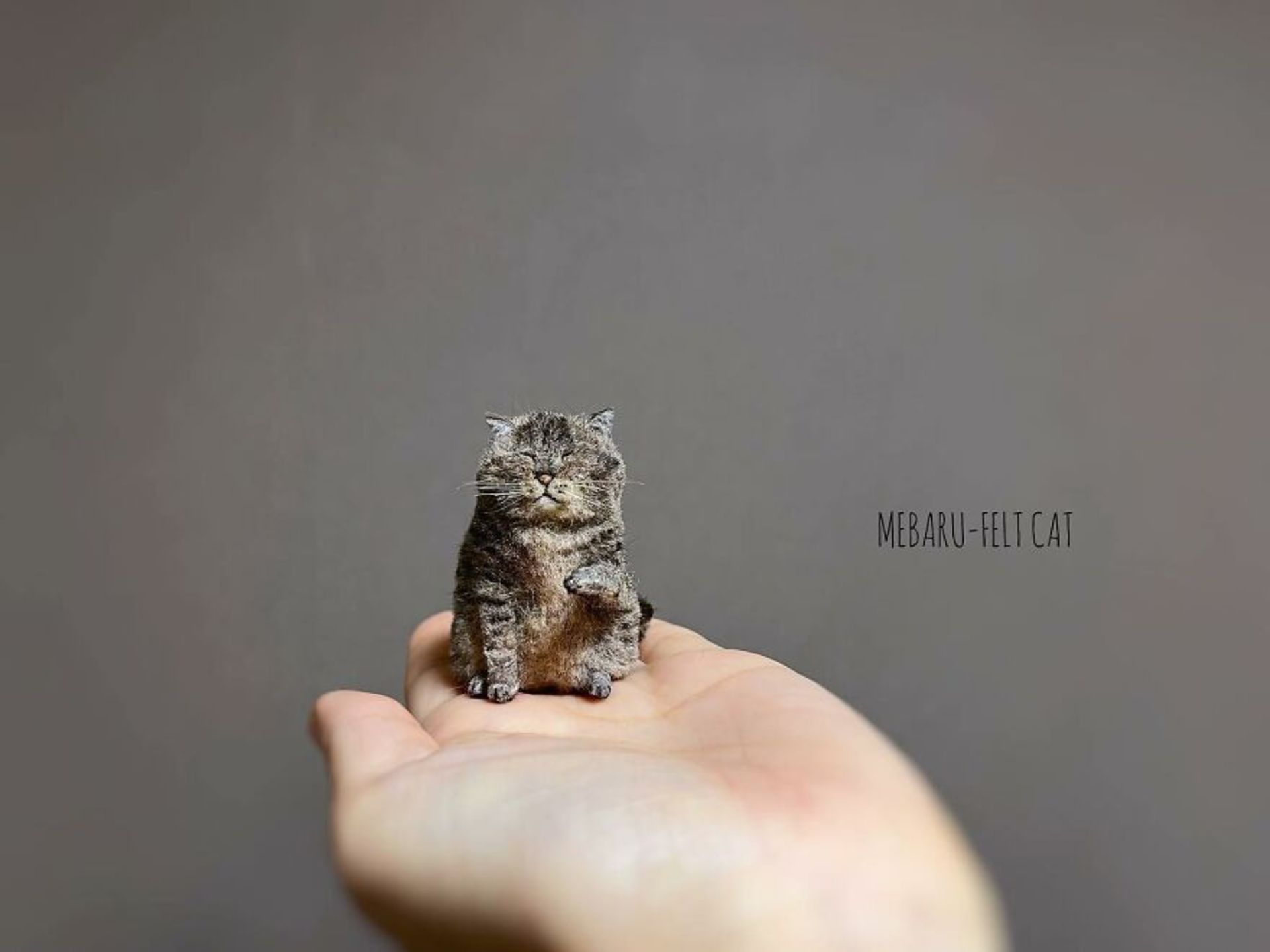 عروسک گربه مینیاتوری نمدی دست‌ساز