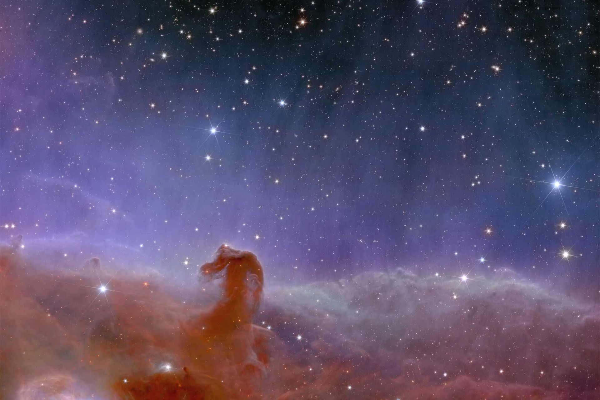 سحابی سر اسب از نگاه تلسکوپ فضایی اقلیدس