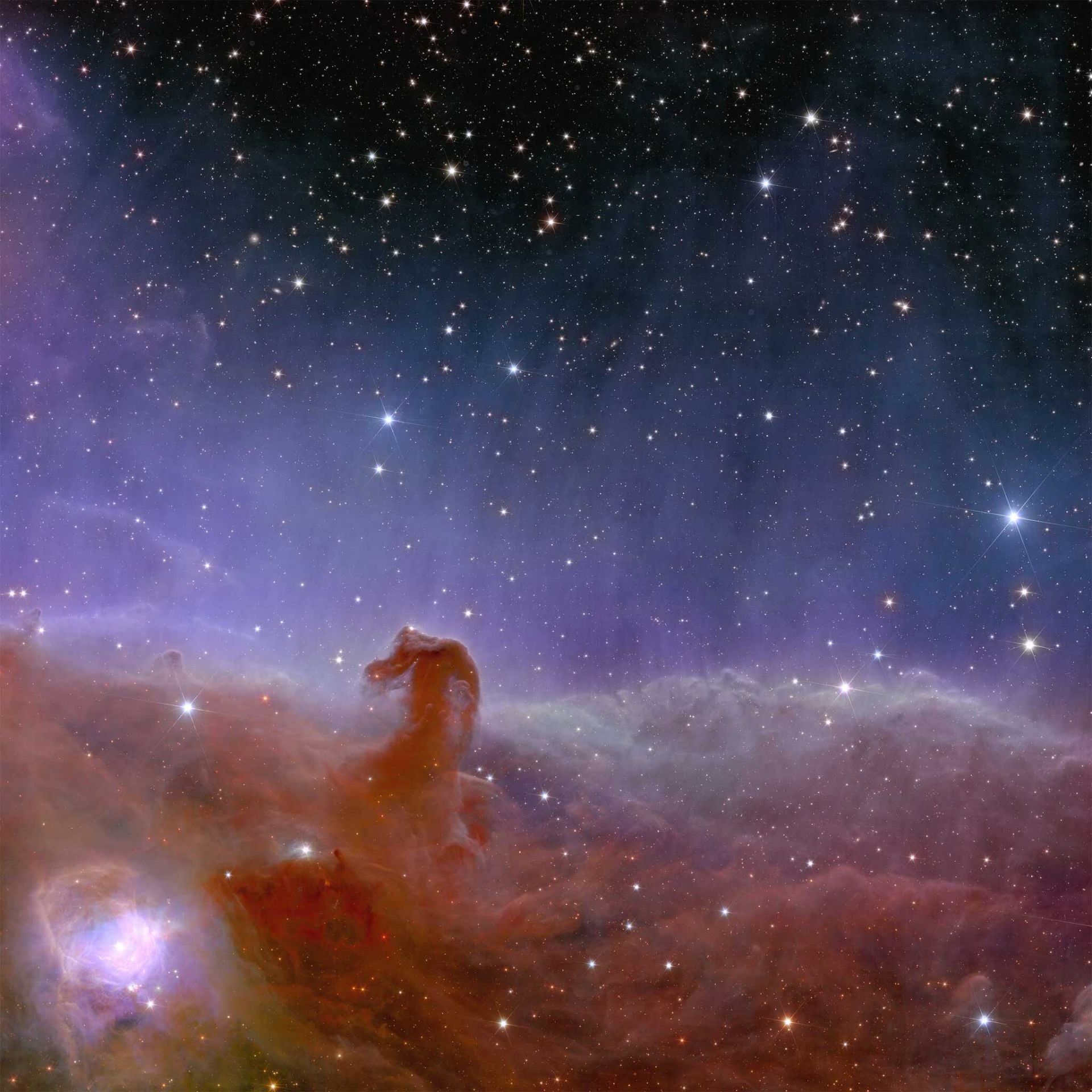 سحابی سر اسب از نگاه تلسکوپ فضایی اقلیدس