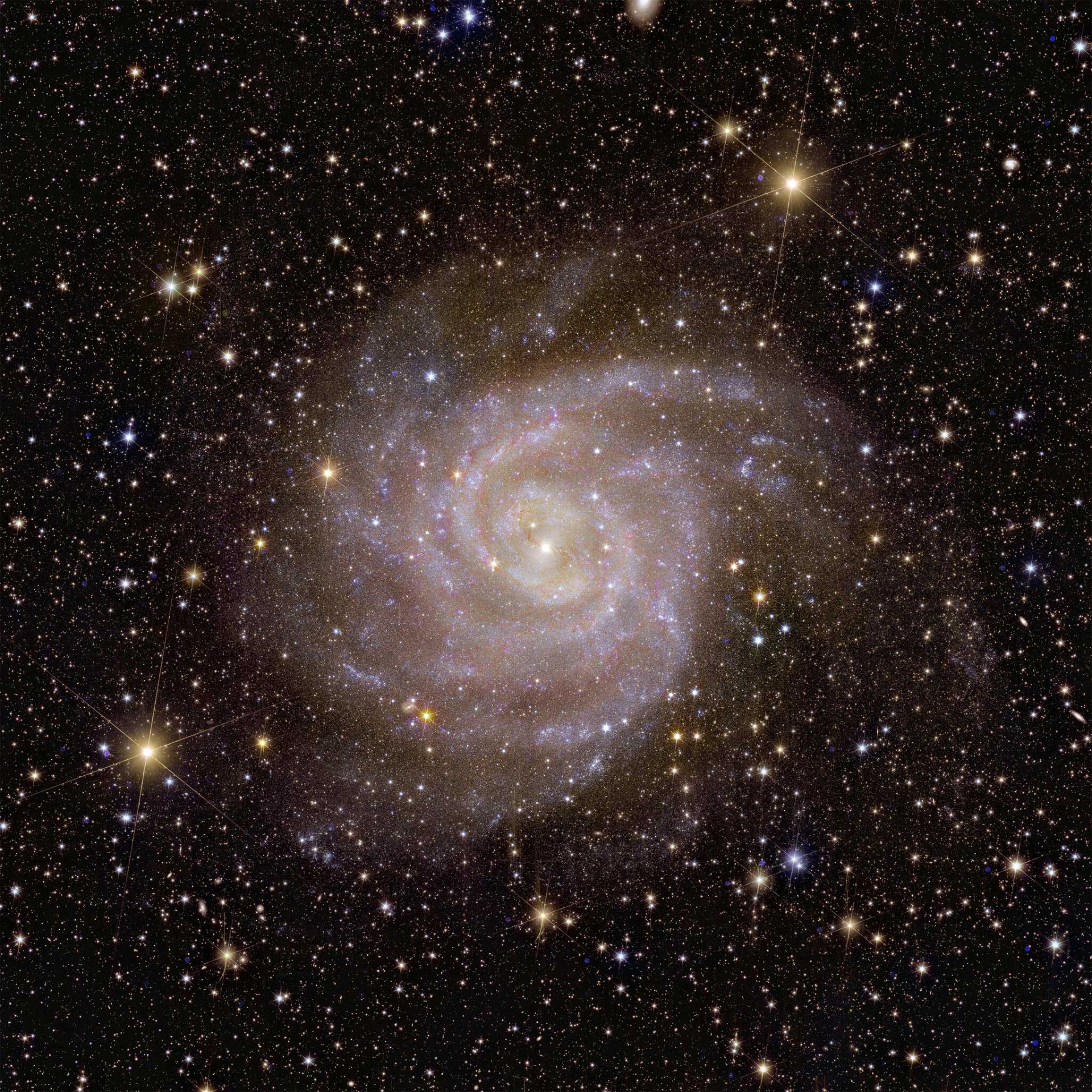 کهکشان مارپیچی IC 342 از نگاه تلسکوپ فضایی اقلیدس