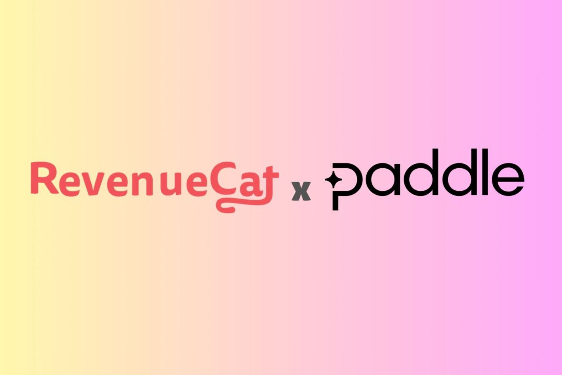 لوگو Paddle و Evenyecat
