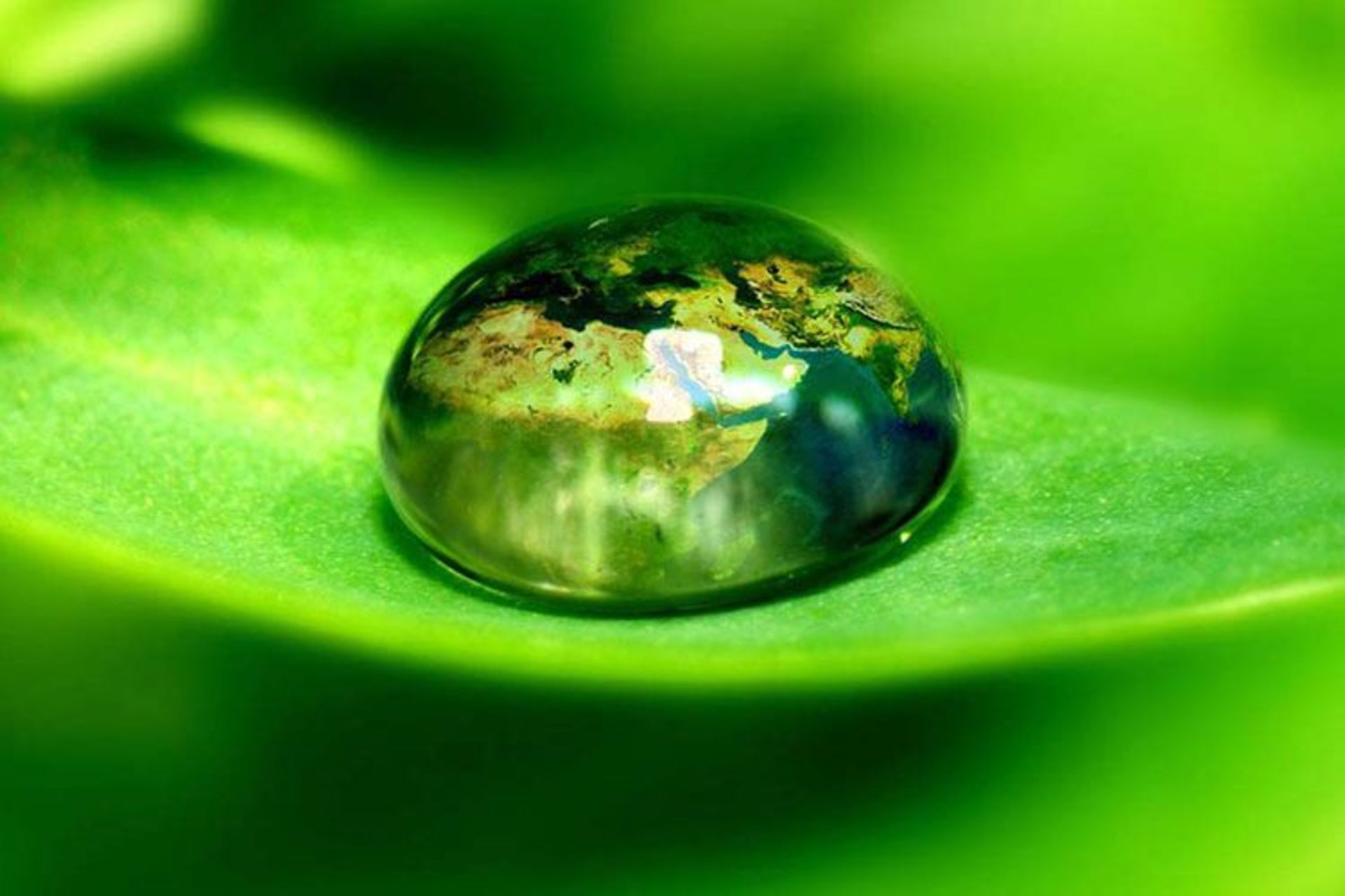 گردشگری سبز