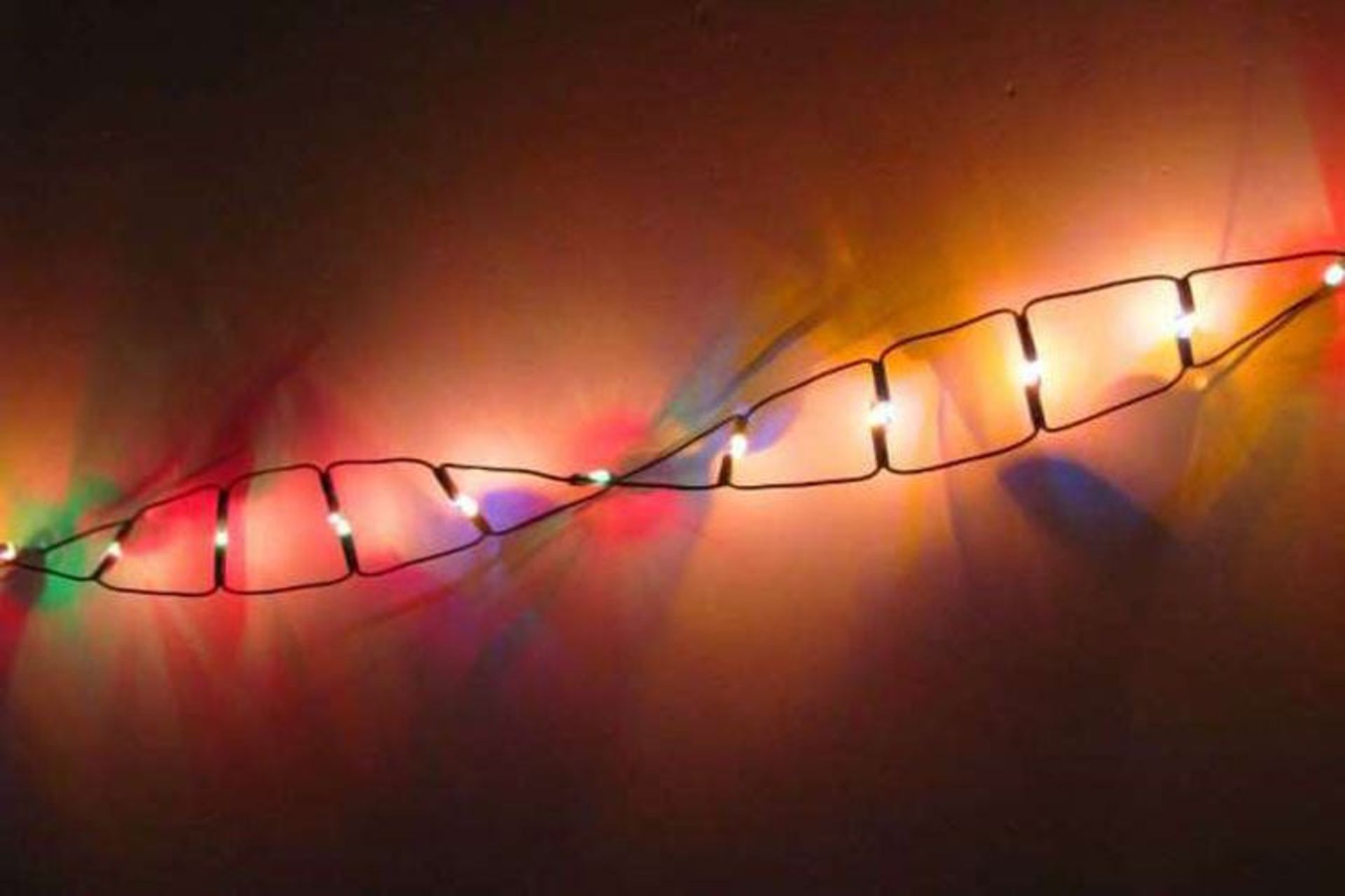 مرجع متخصصين ايران DNA