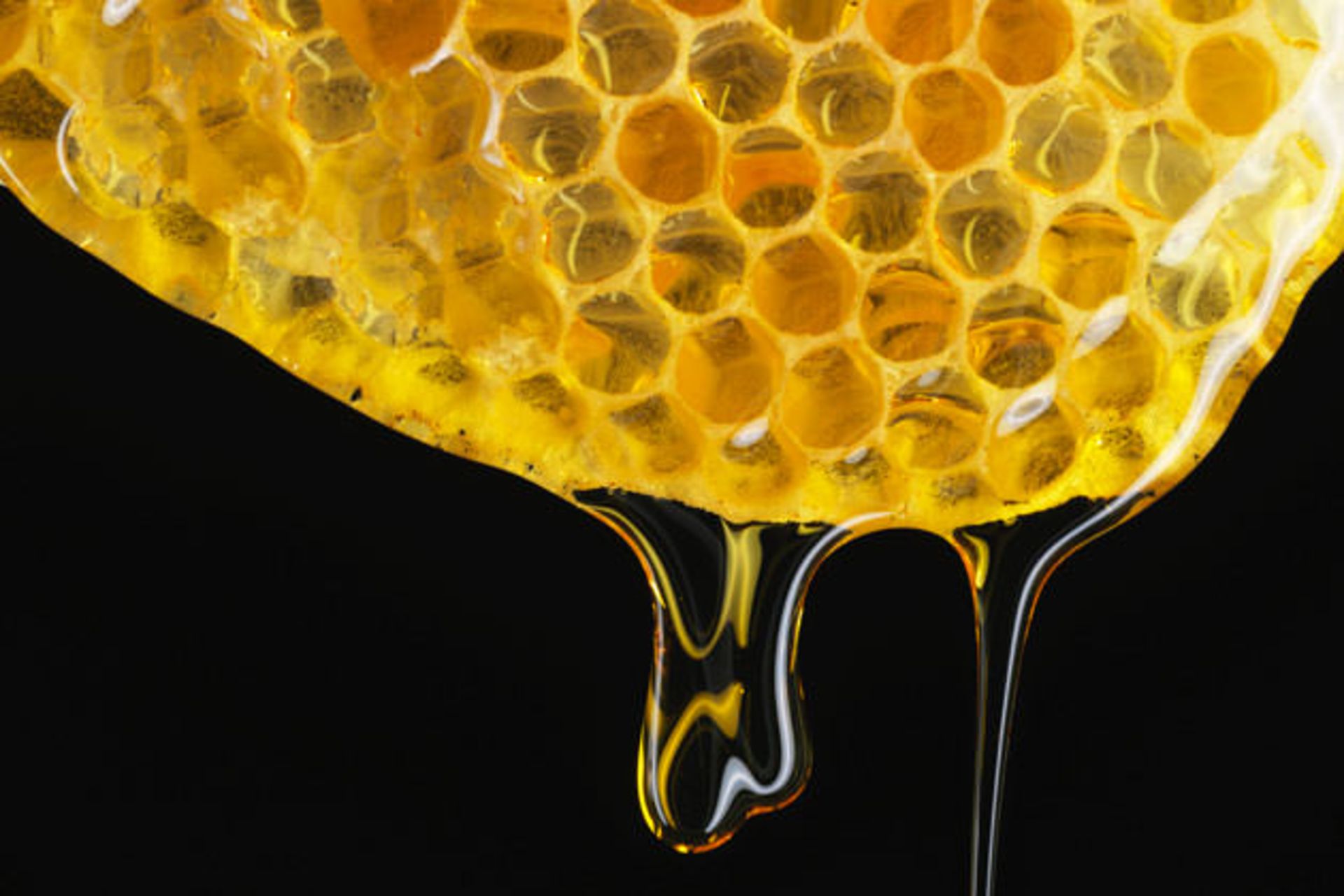 عسل و کمک به درمان بیماریهای مقاوم به آنتی بیوتیک