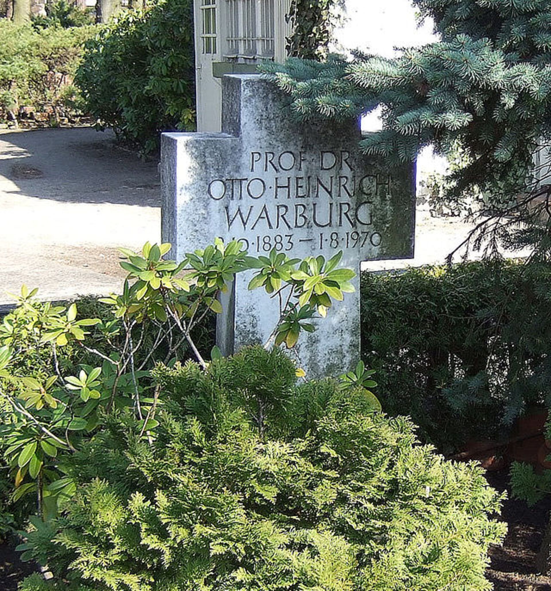 Warburg-tomb