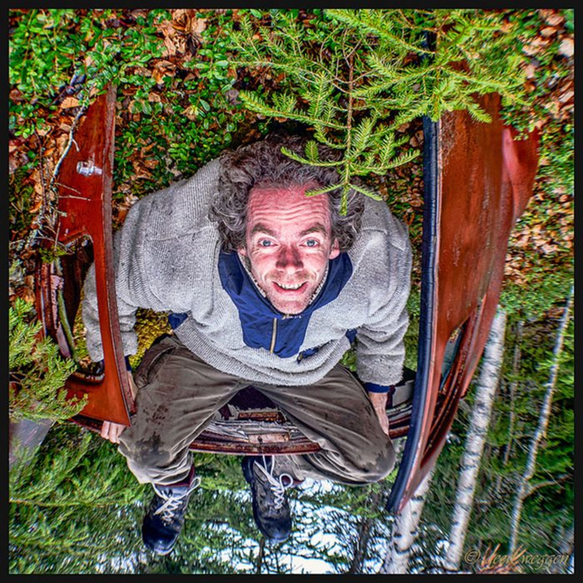 گرت ویگن، عکاس سوئدی و خلق پرتره هایی جالب از سنجاب‌های قرمز