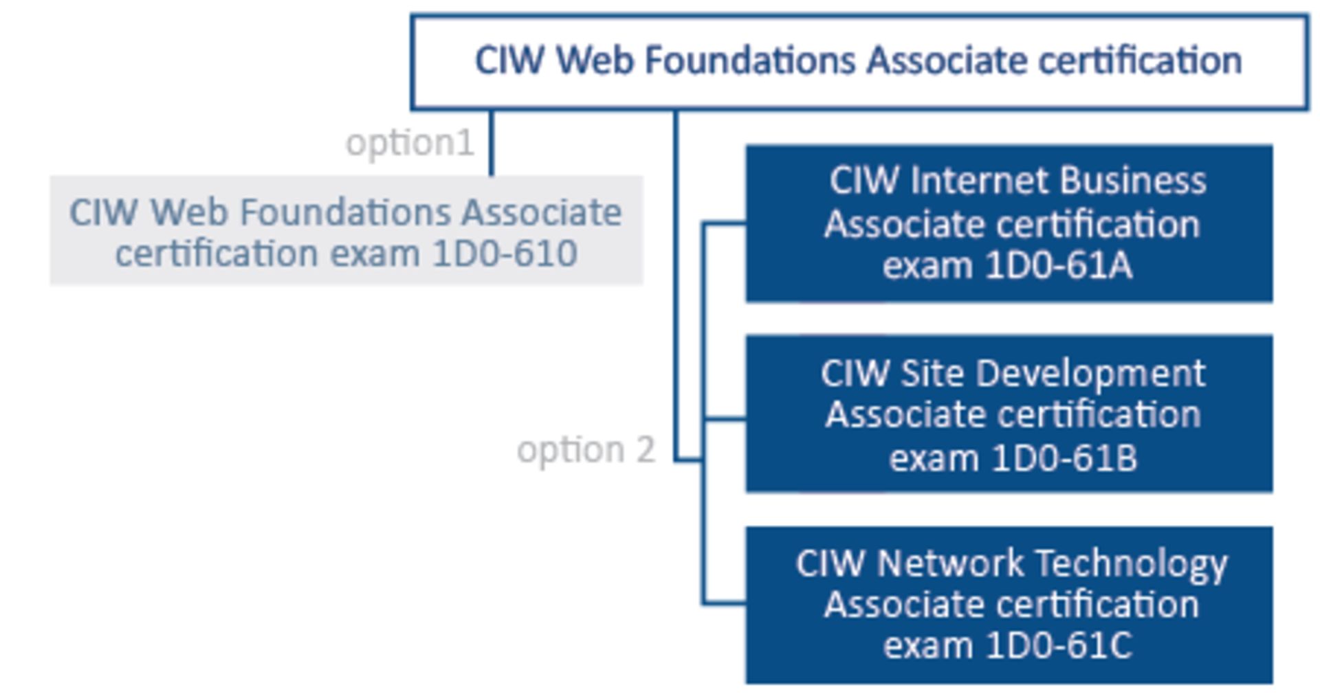 دوره آموزشی CIW