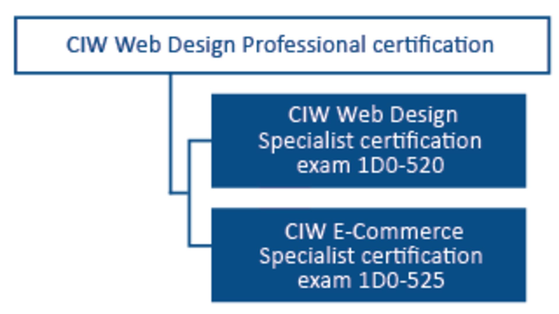 دوره آموزشی CIW