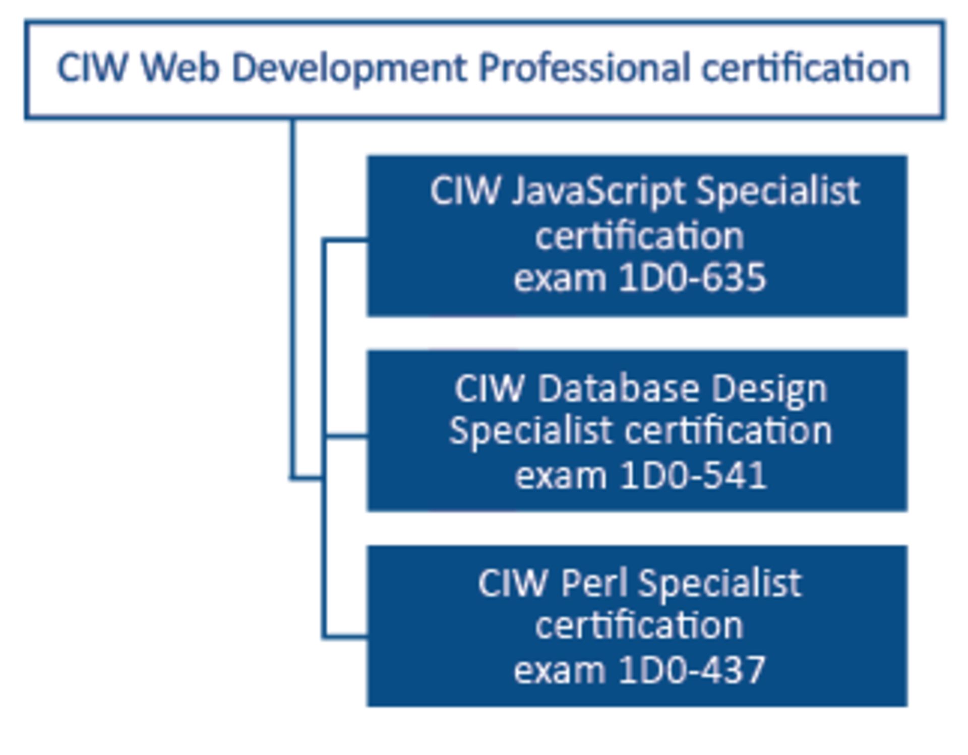 دوره آموزشی CIW