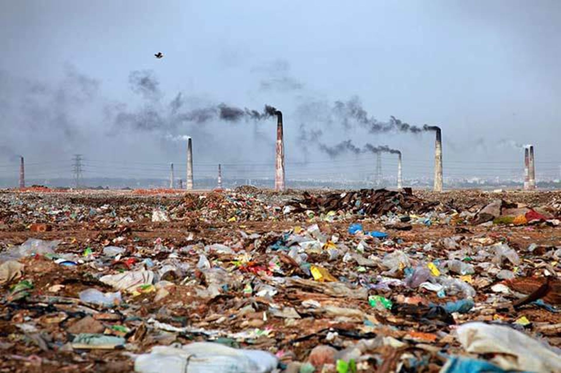 معضل آلودگی محیط زیست و نقش بشر در ایجاد آن
