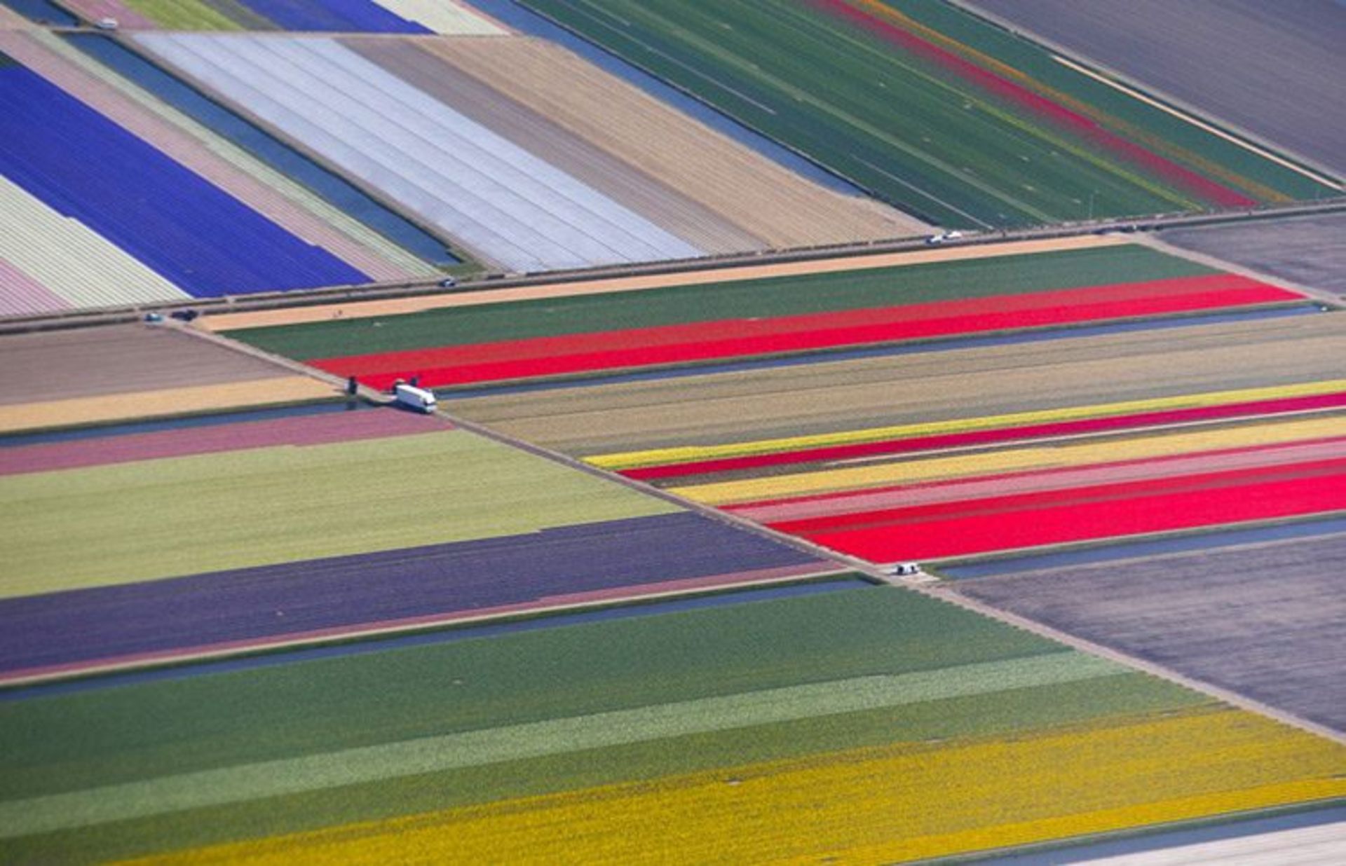 8 an aerial view of flower fields is seen near the keukenhof park also known as the garden of europe in lisse the netherlands s 1a19d