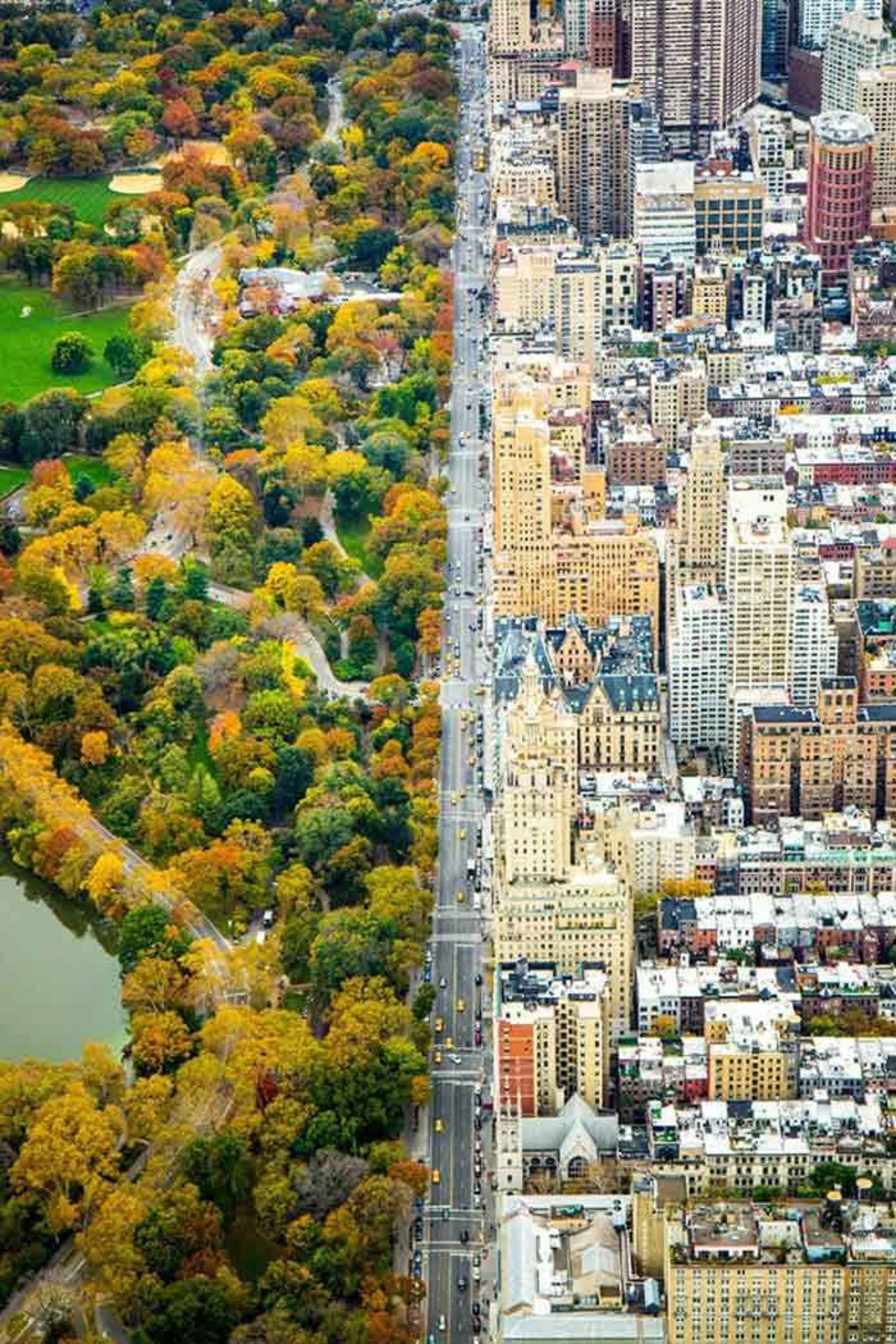 تصویری تماشایی از سنترال پارک نیویورک