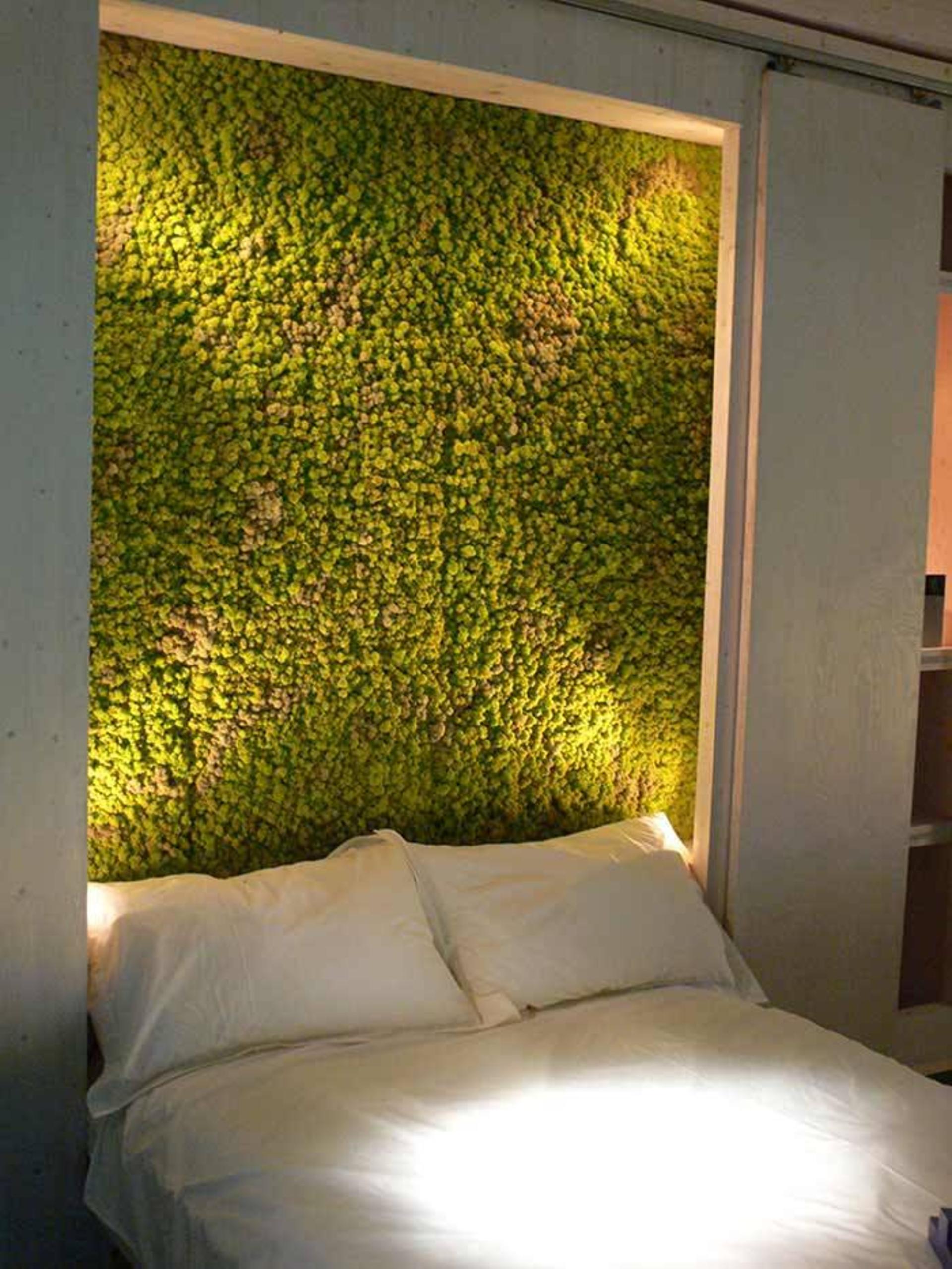دیوارهای گیاهی