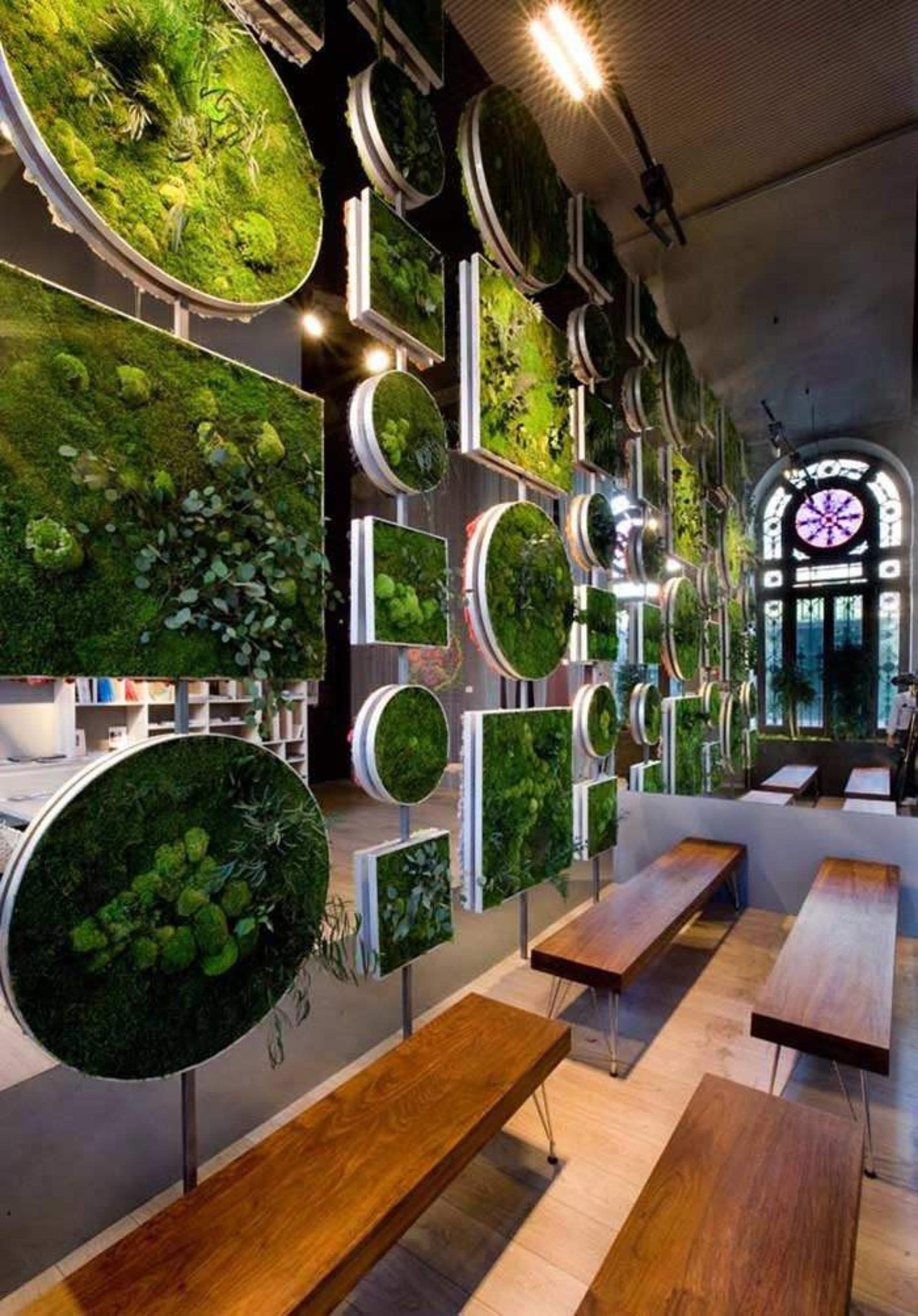 دیوارهای گیاهی