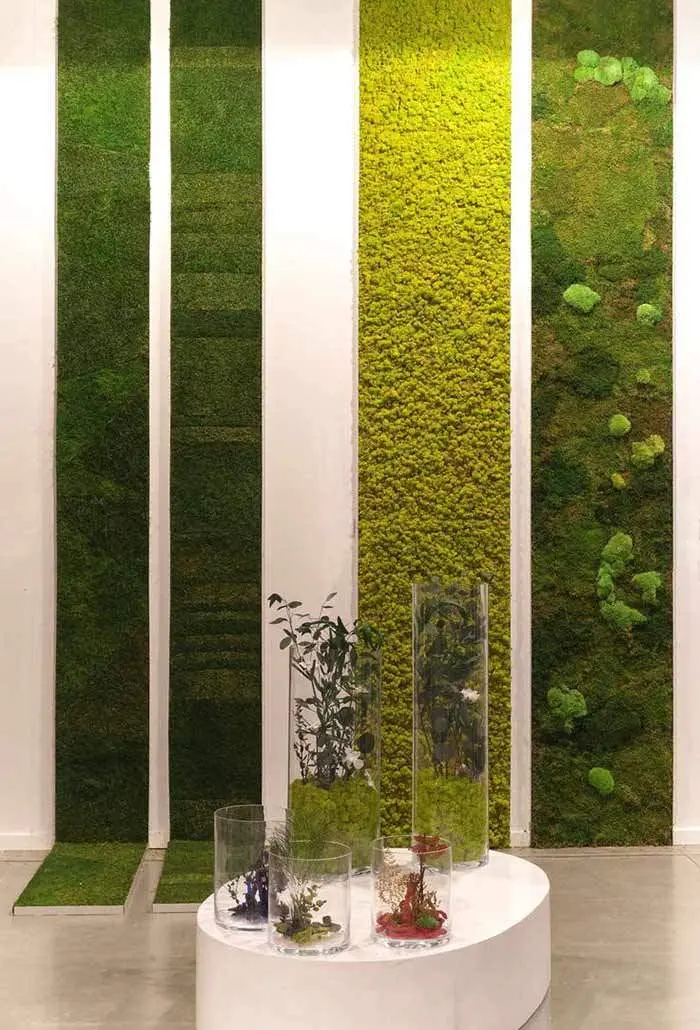 دیوارهای گیاهی
