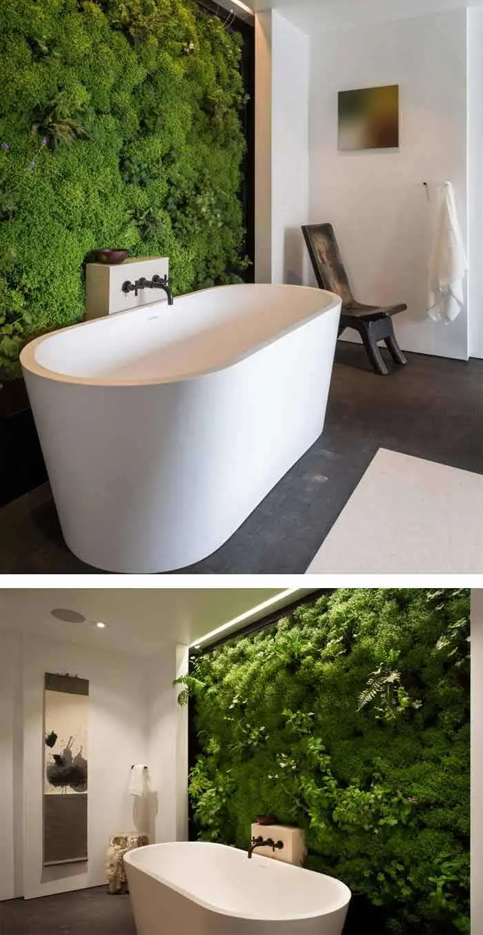 دیوارهای گیاهی