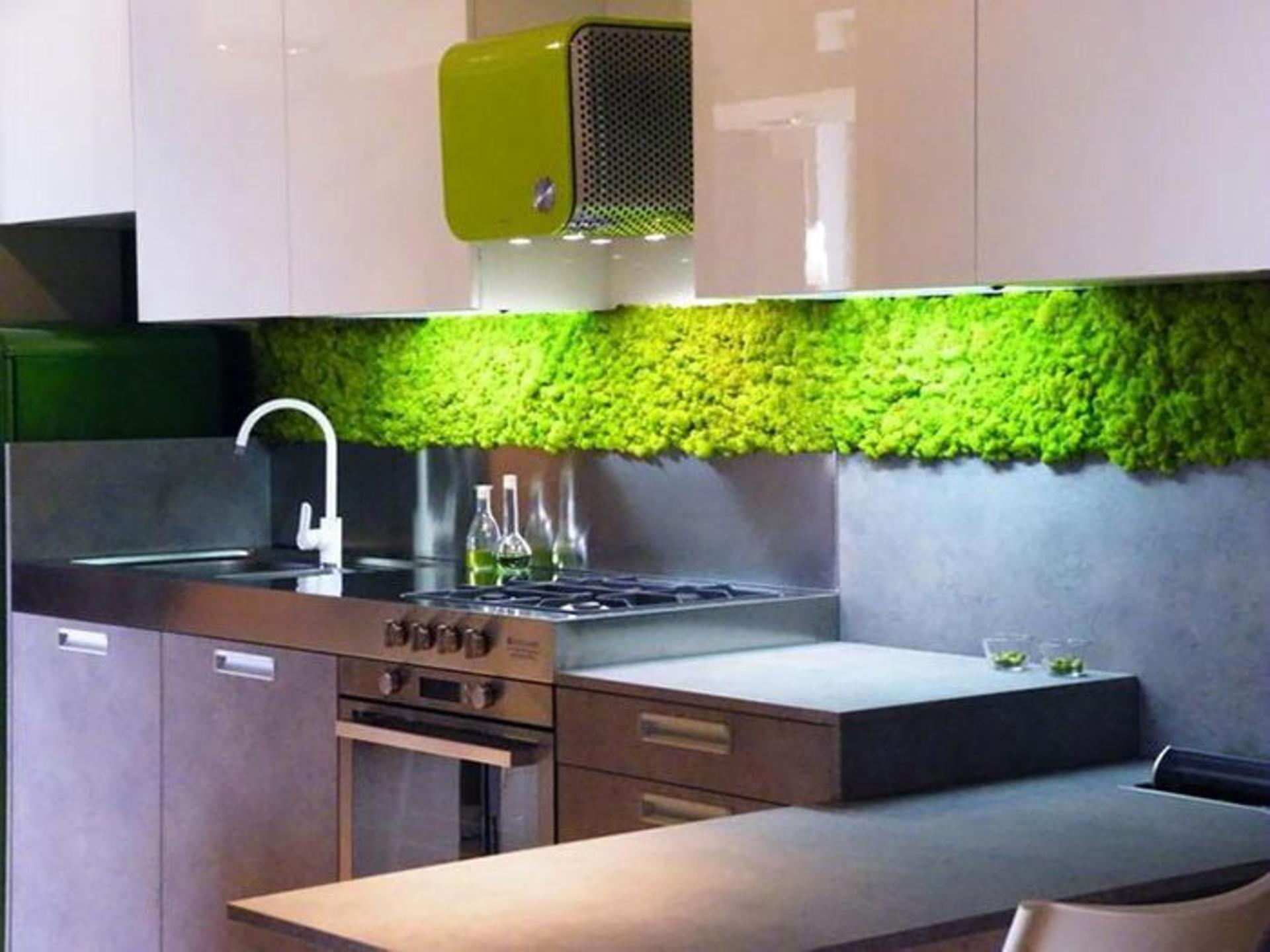 دیوارهای گیاهی