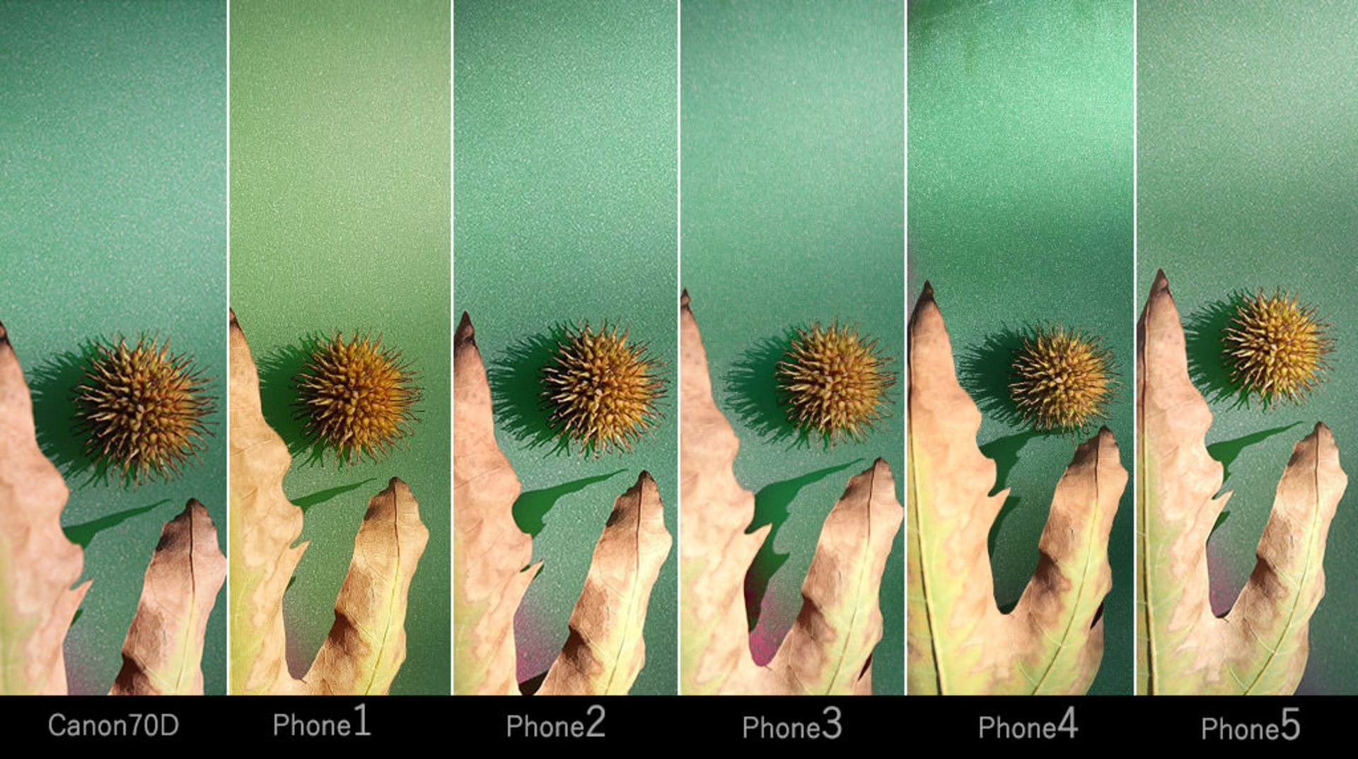 camera result 04 zoomit e036d