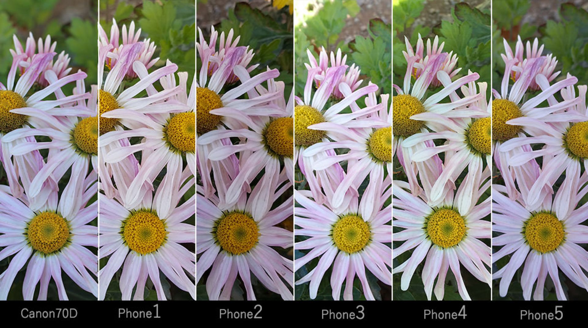 camera result 05 zoomit c4c27