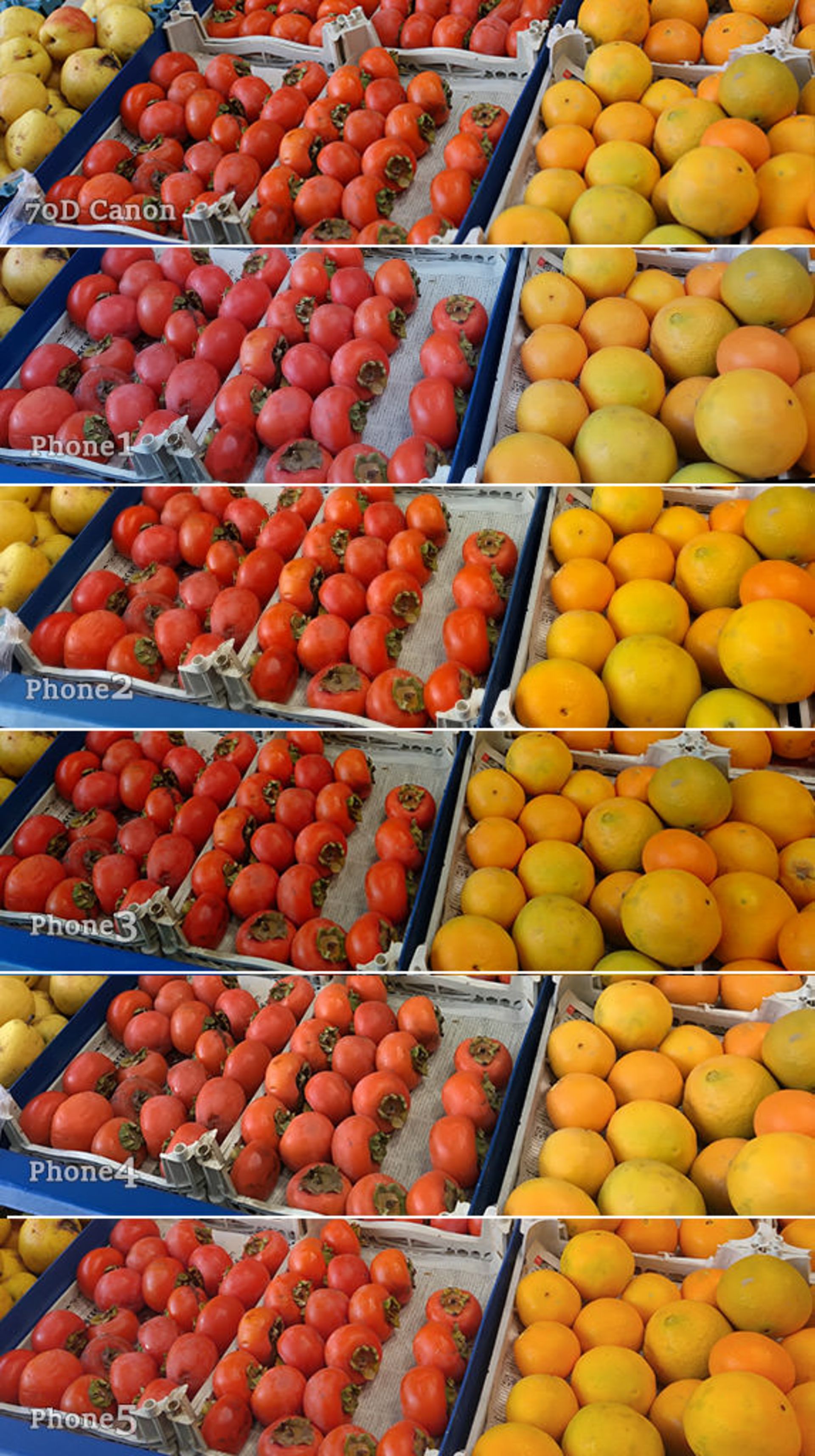 مقایسه دوربین آیفون 6 اس