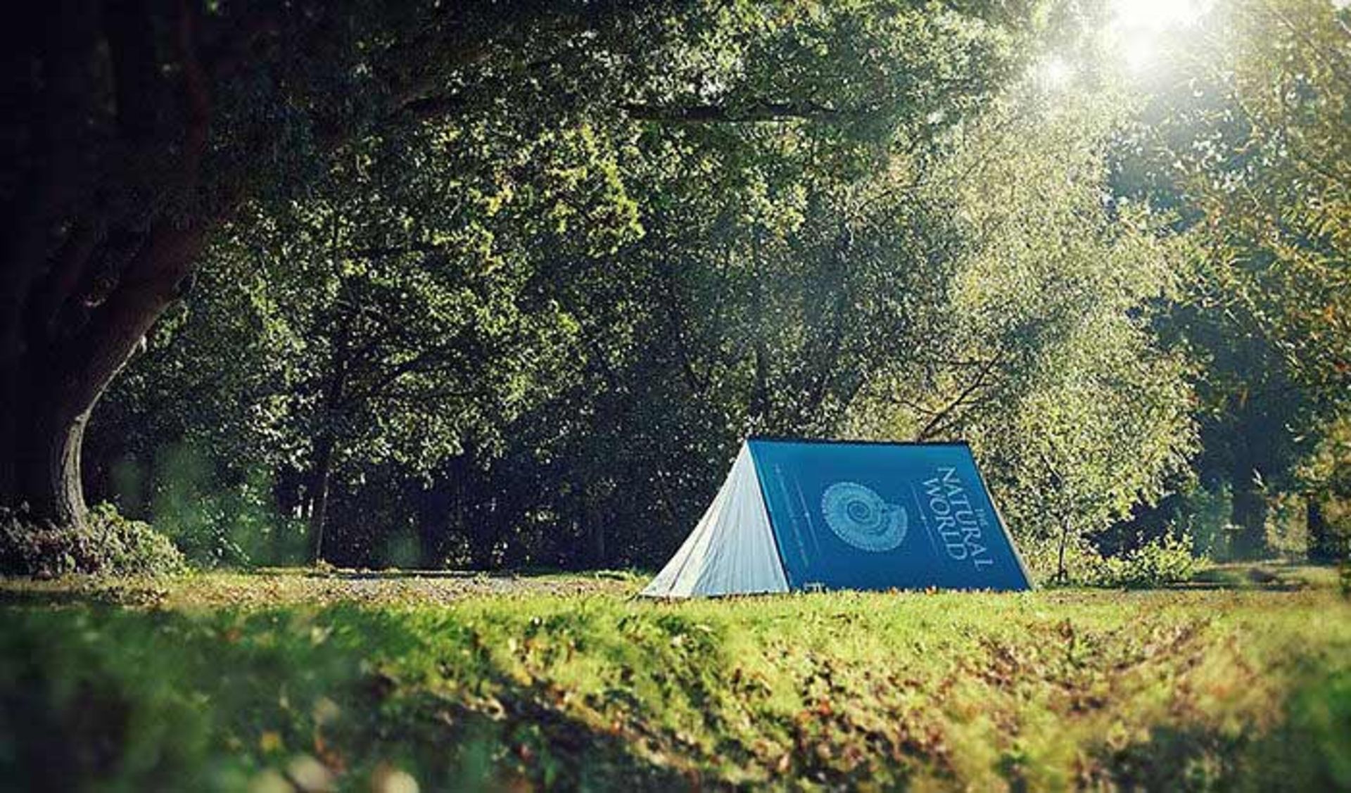 هدایایی مناسب عاشقان دنیای کتاب و کتابخوانی