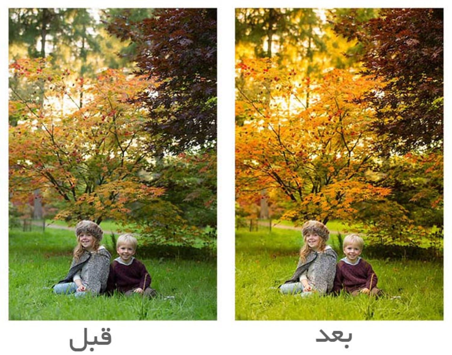 راهنمای عکاسی پرتره در پاییز