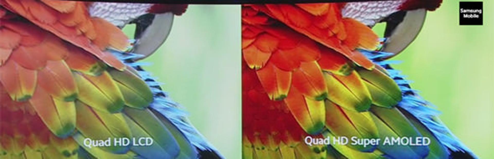 ال سی دی
