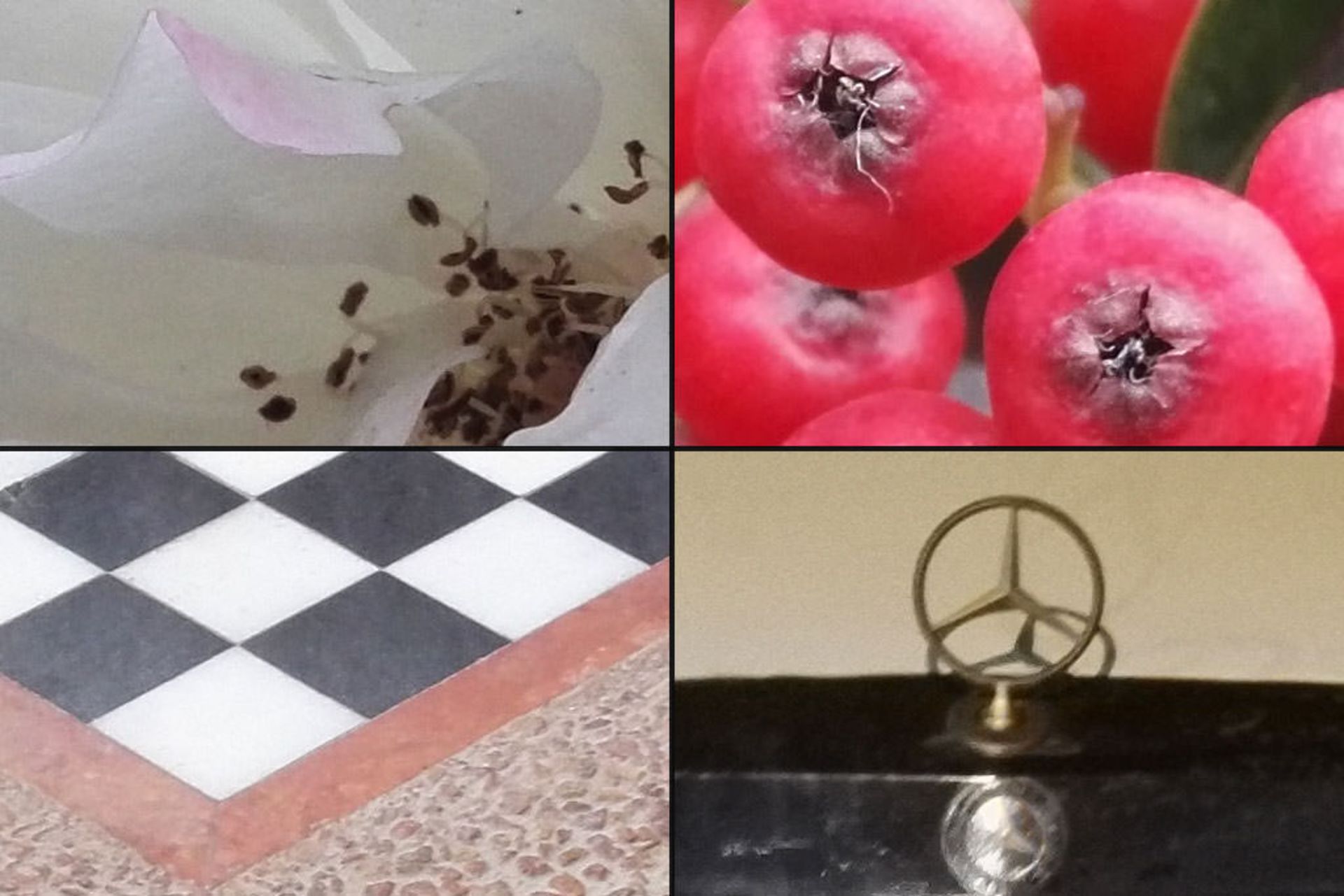 بررسی گوشی آنر 7 هواوی 