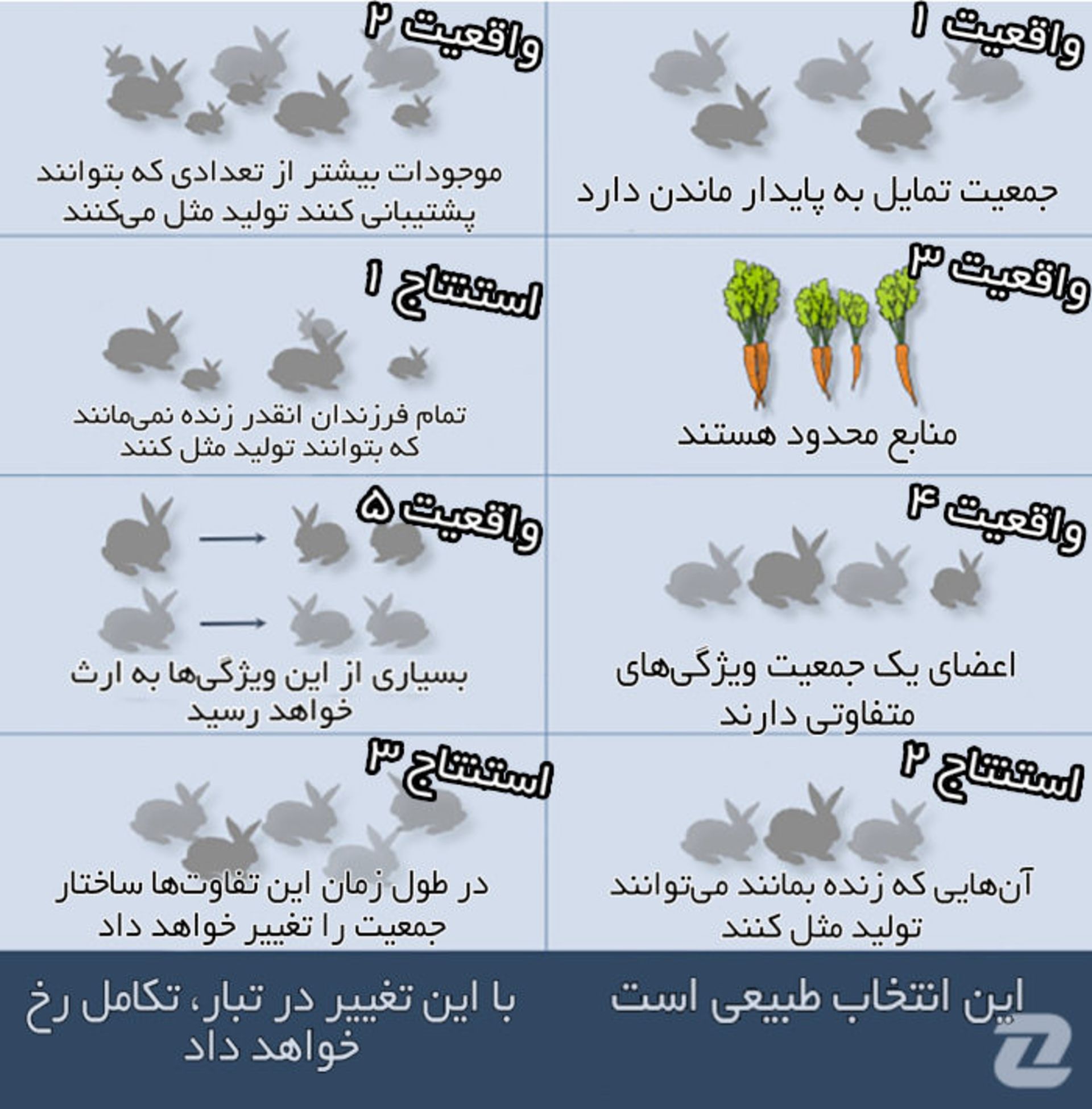 مرجع متخصصين ايران 3 6d0b5