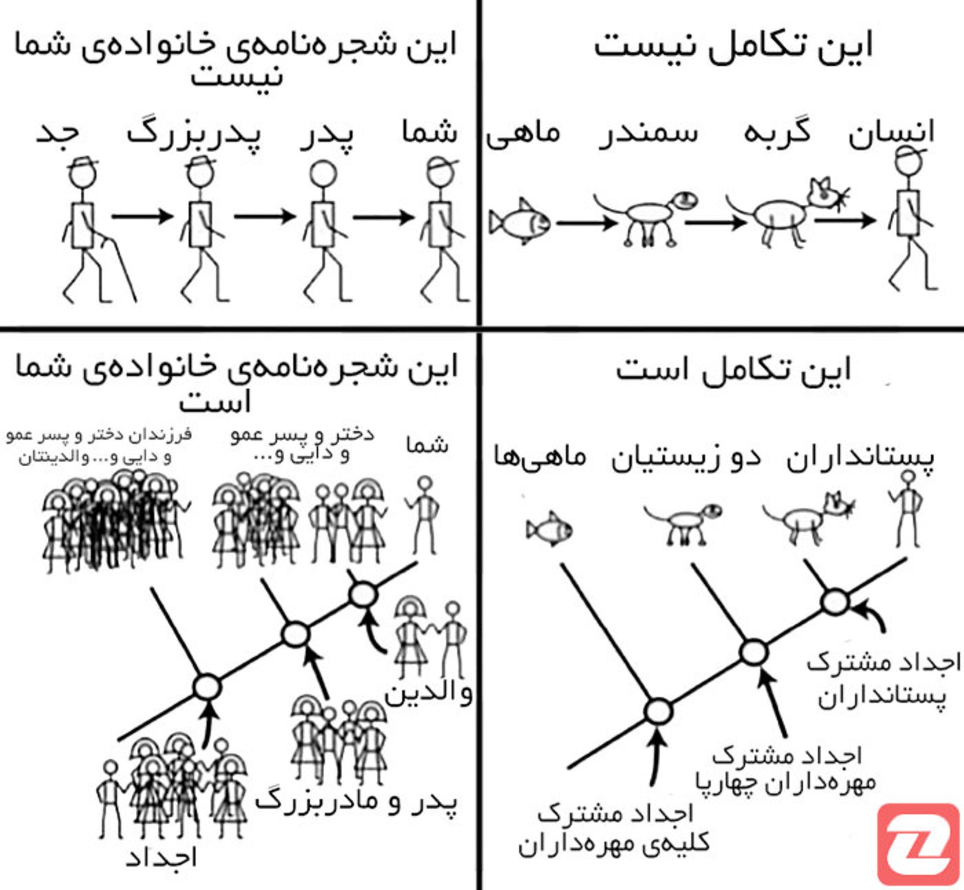 مرجع متخصصين ايران 4 8c67a