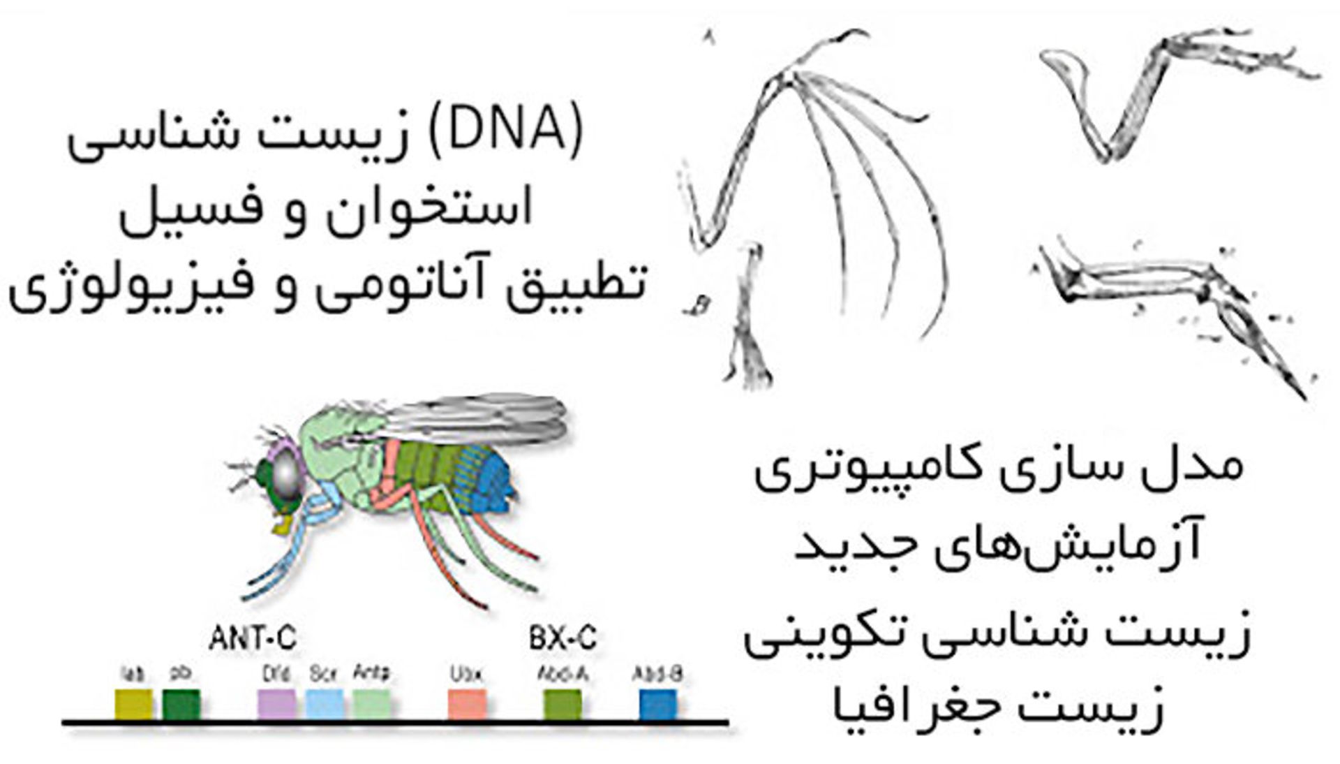 مرجع متخصصين ايران 6 f878a