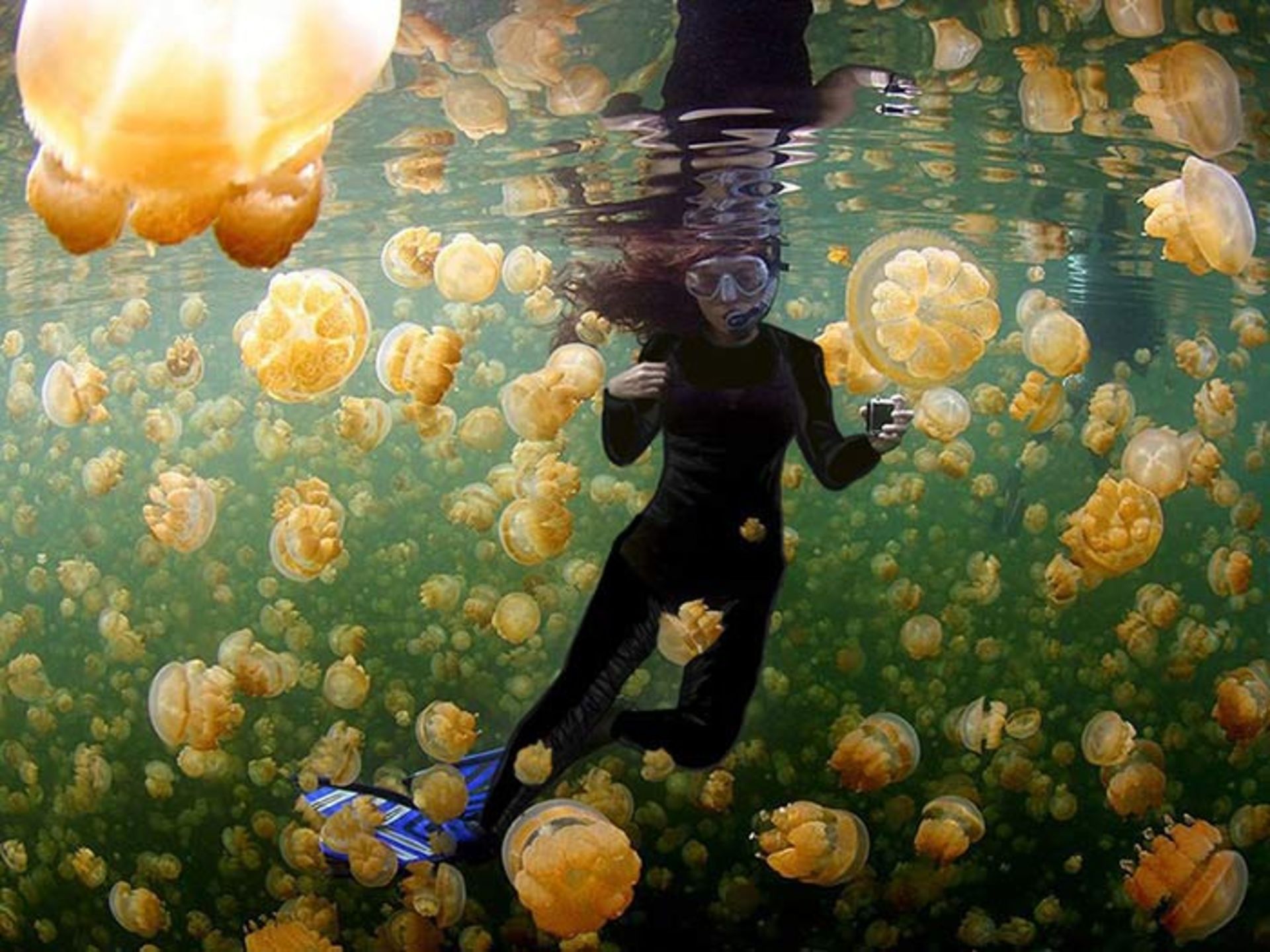 محبوب‌ترین تصاویر نشنال جئوگرافی 2015