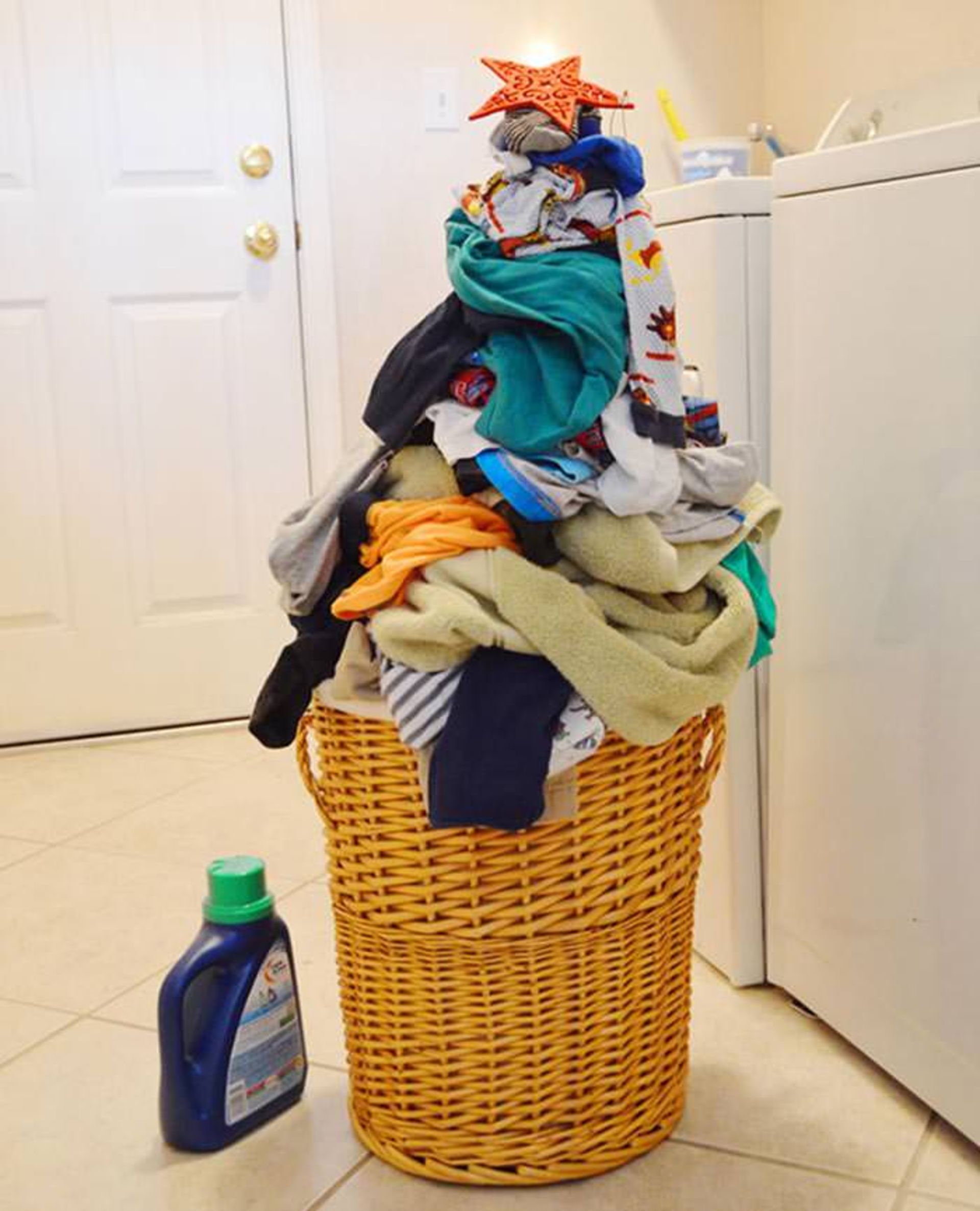 تزئینات خلاقانه درختان کریسمس سال 2015