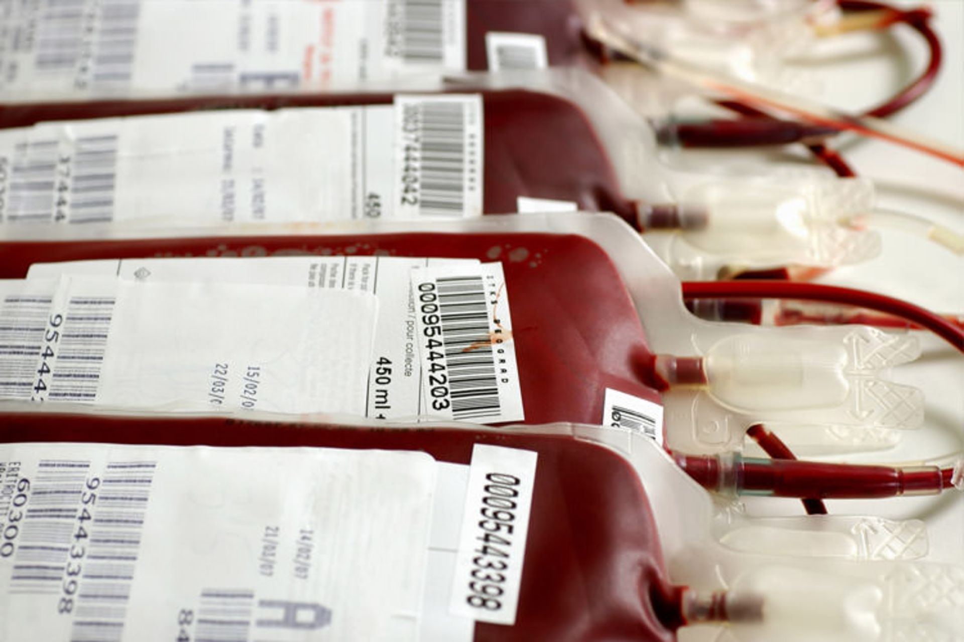o-BLOOD-TRANSFUSION-facebook
