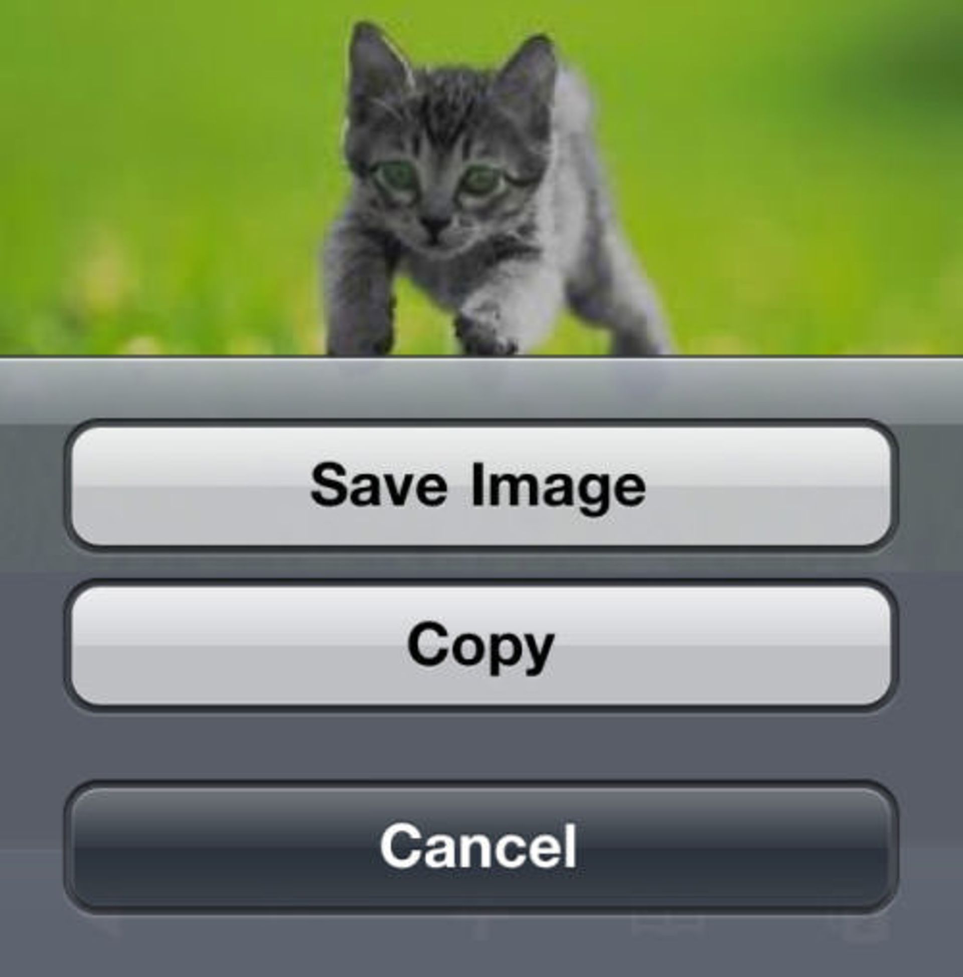 7-iphone-cam-tricks-4