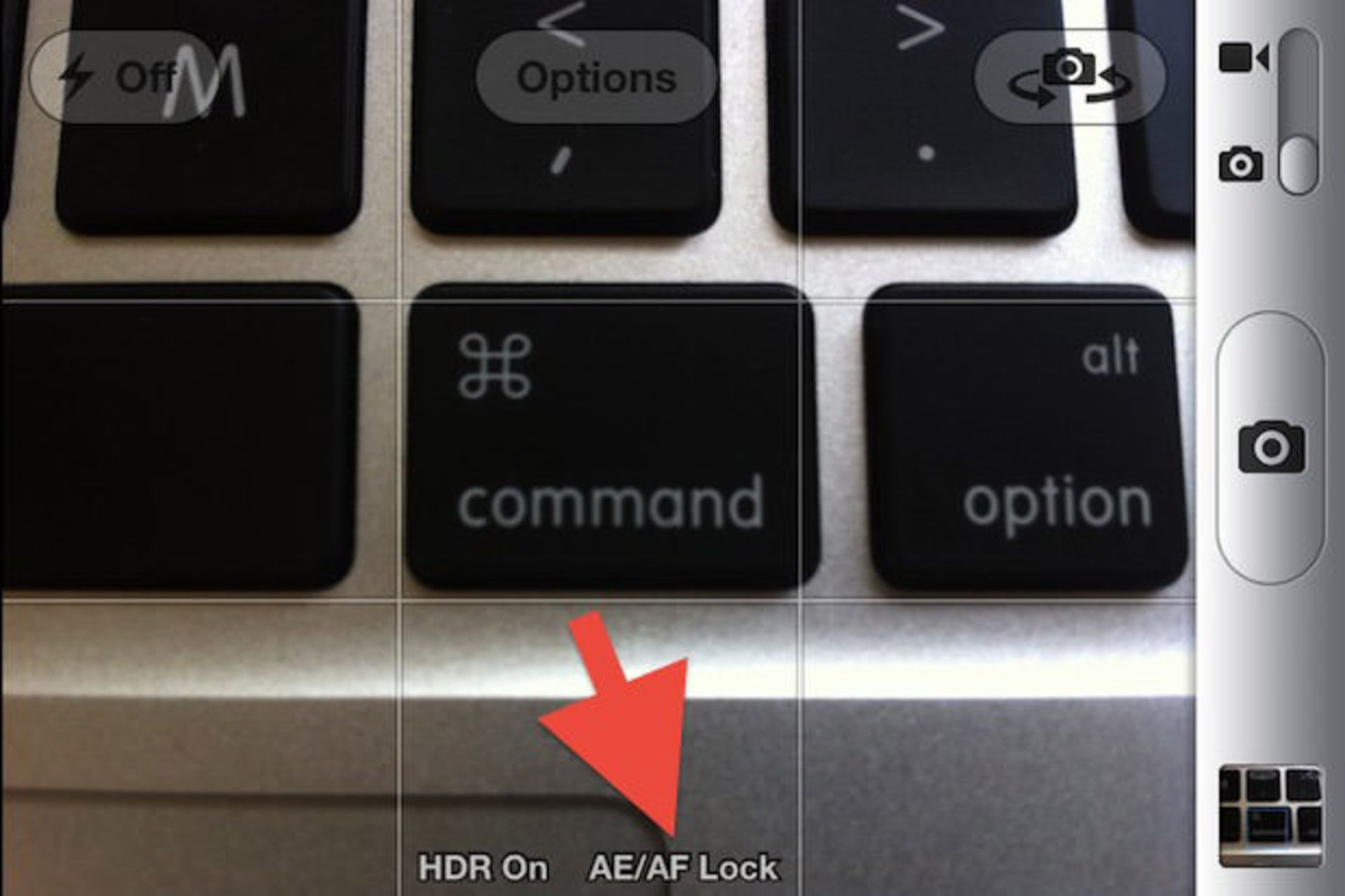 macro-photography-guide-iphone-2