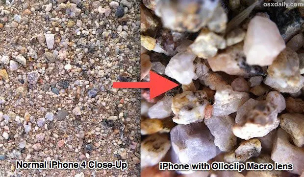 macro-photography-guide-iphone-5