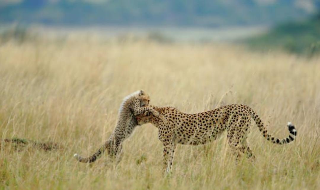 06 Tender-Moment-jpg 175245