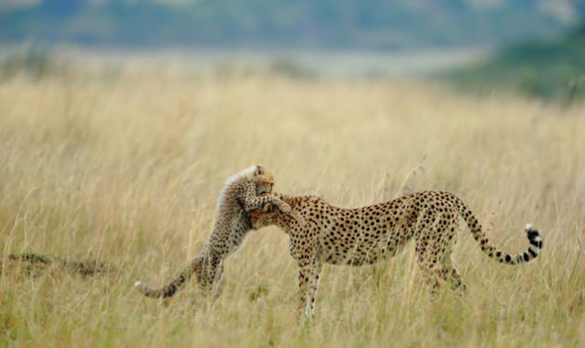 06 Tender-Moment-jpg 175245