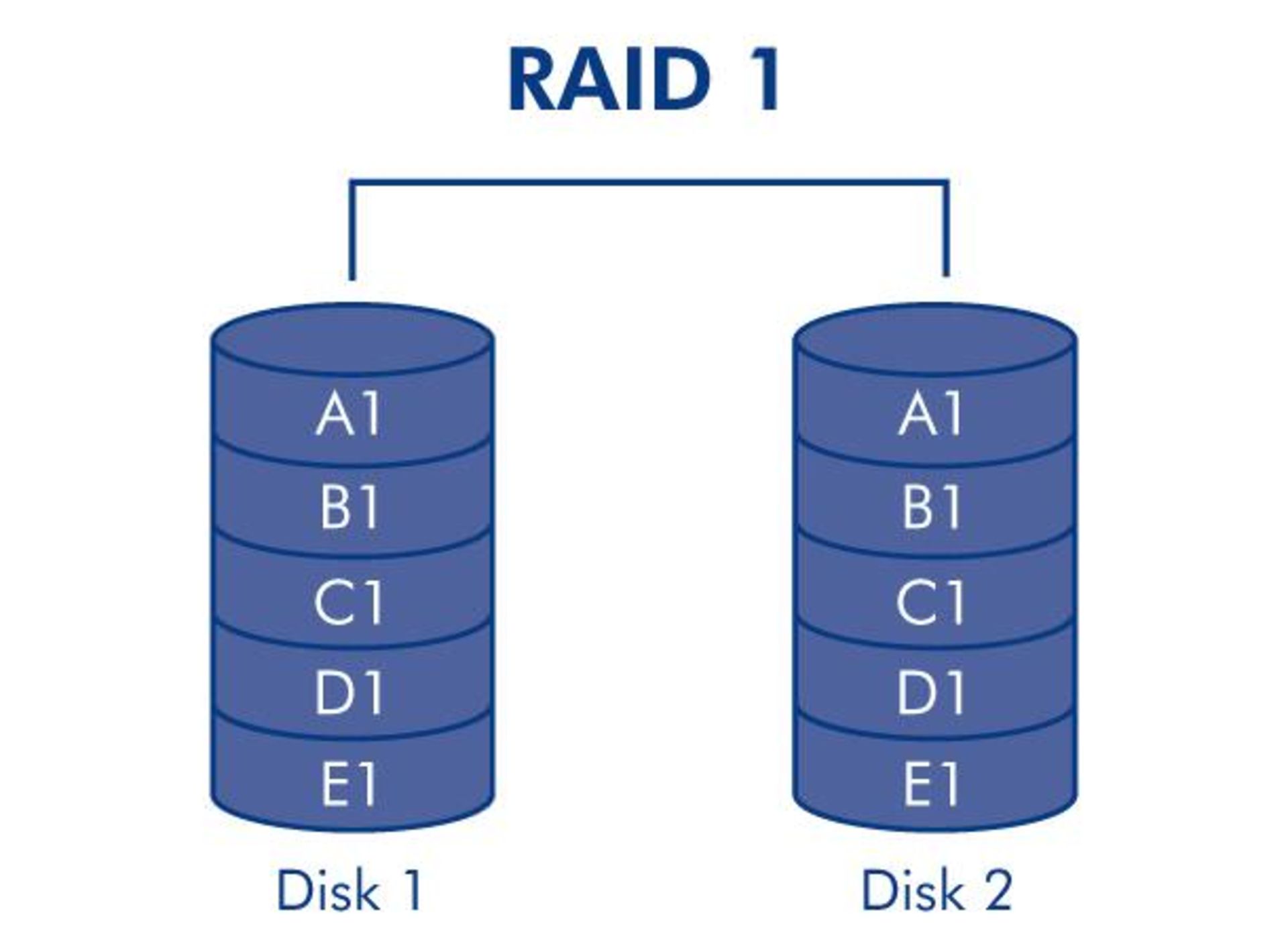RAID 1