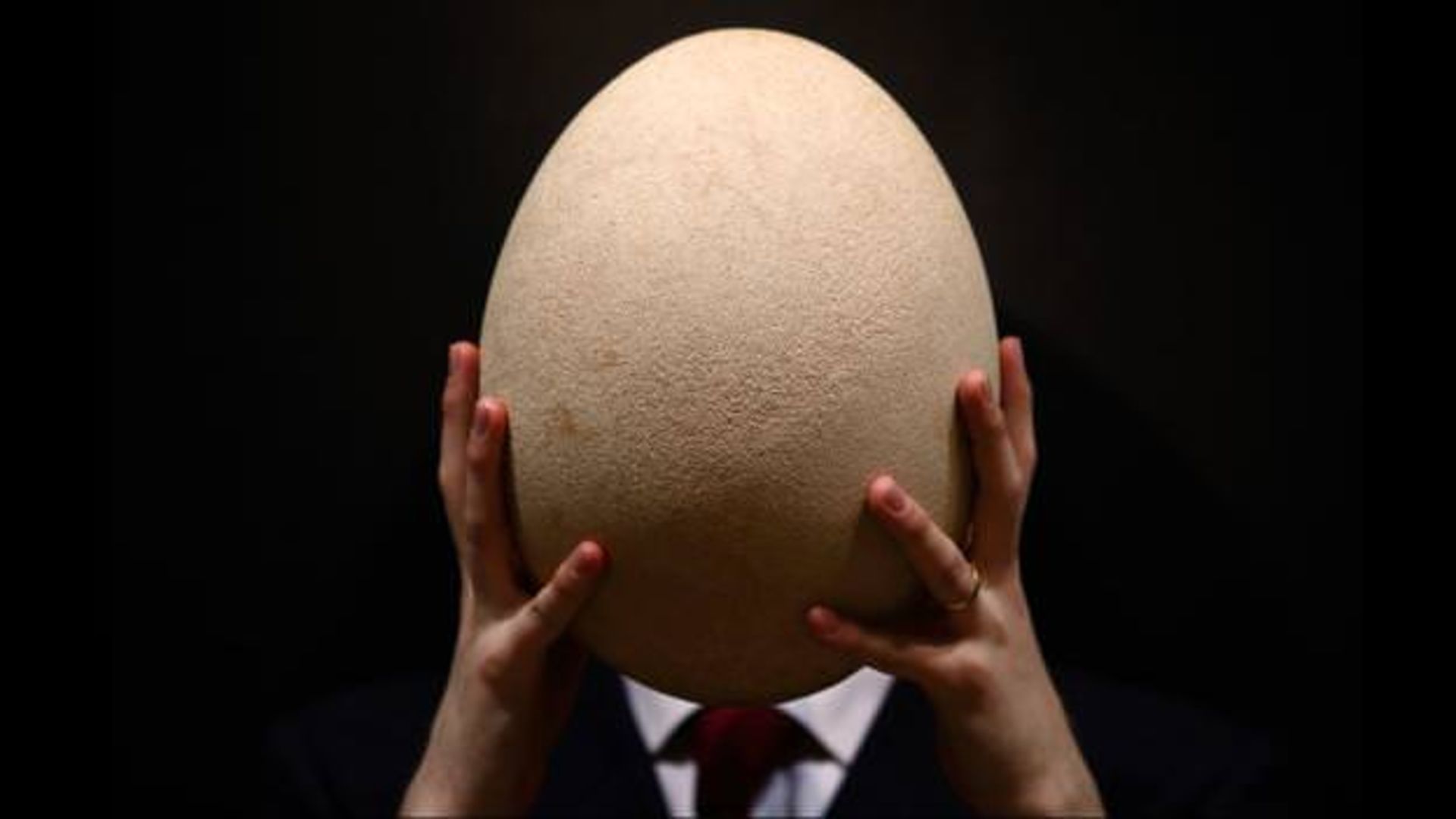 بزرگ ترین تخم مرغ دنیا