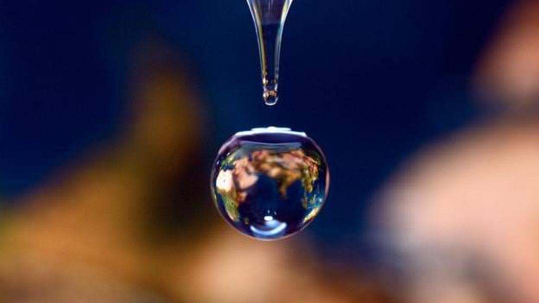 best-pix-of-week-9