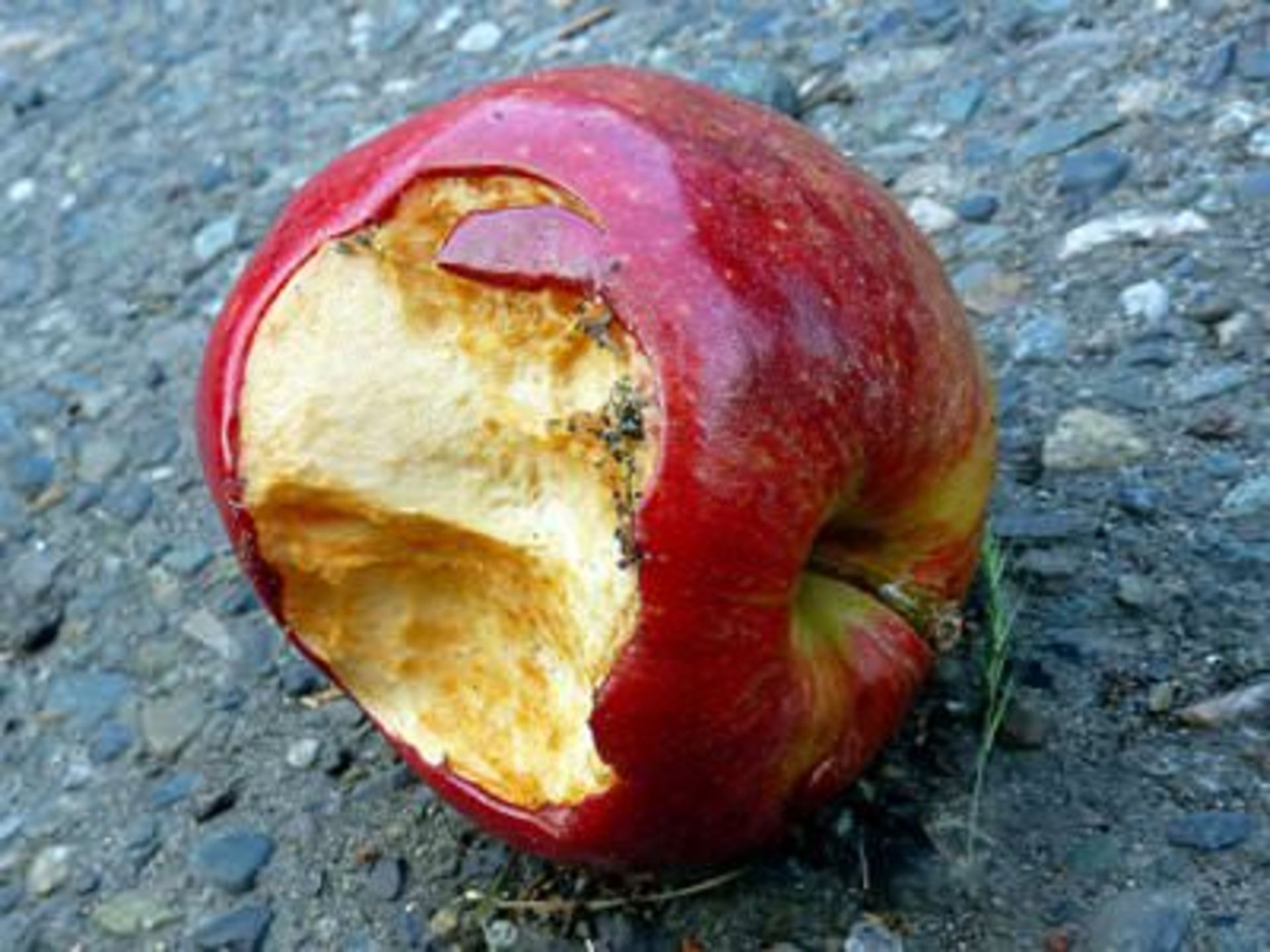 additionally-the-publics-perception-of-apple-is-not-as-good-as-it-once-was
